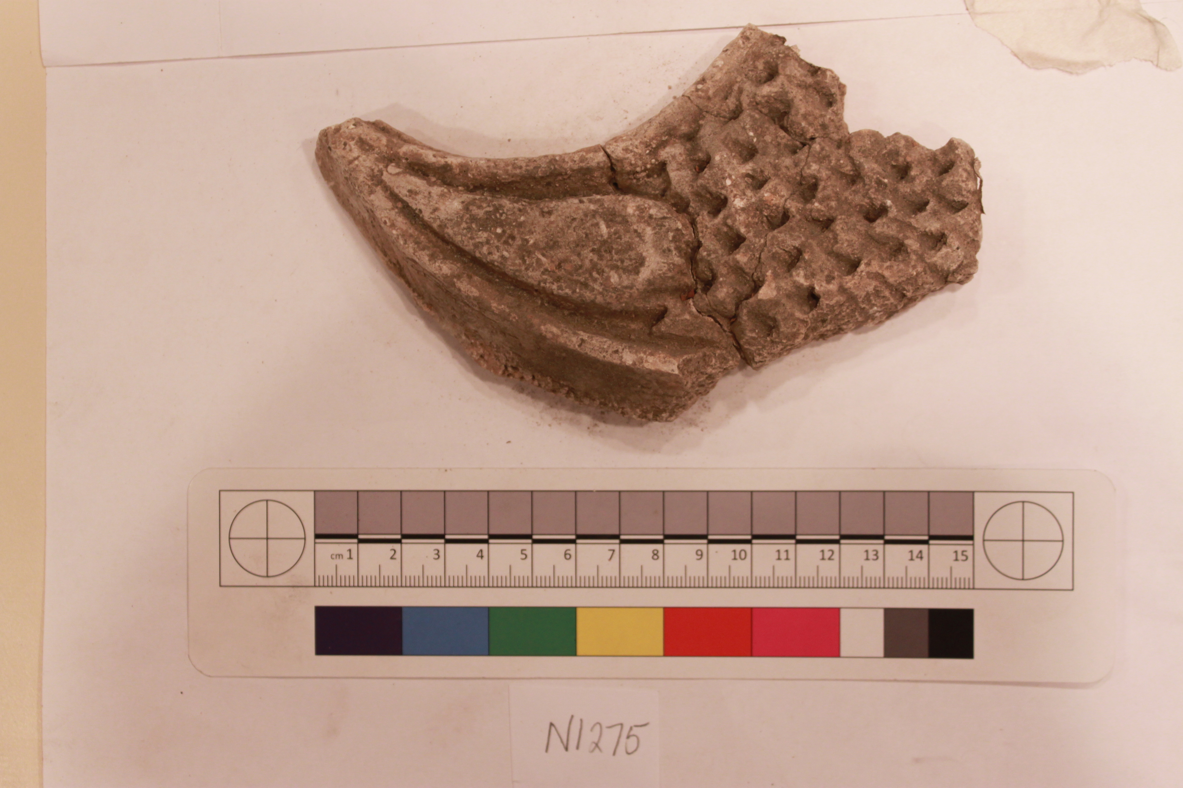 Sartorial Specimen