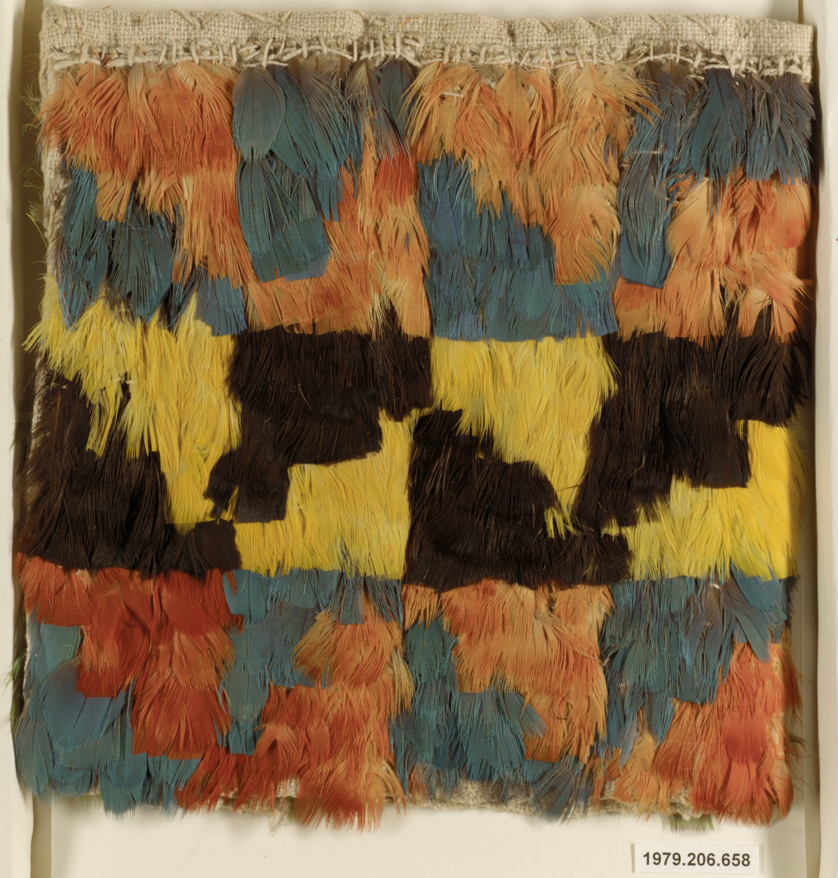 Sartorial Specimen