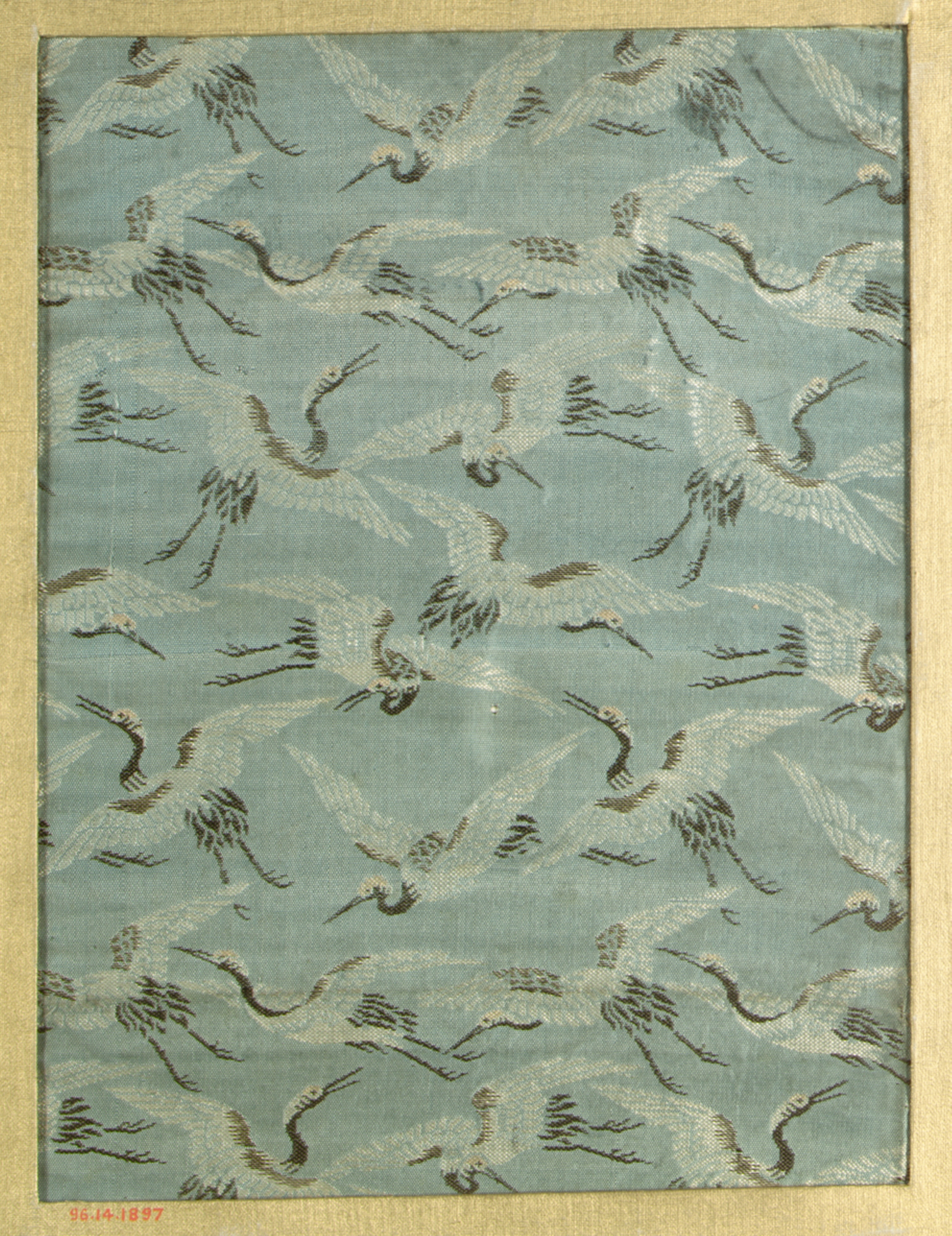 Sartorial Specimen