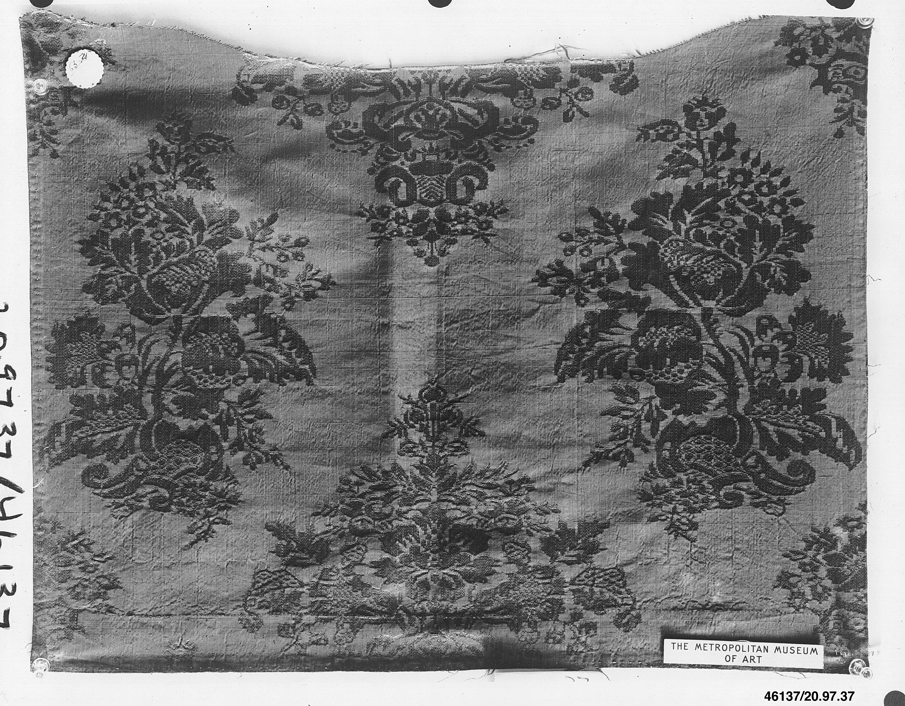 Sartorial Specimen