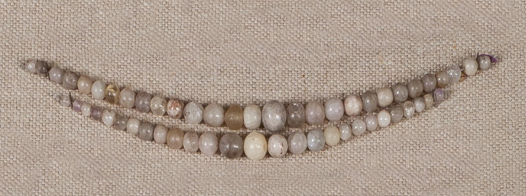 Sartorial Specimen