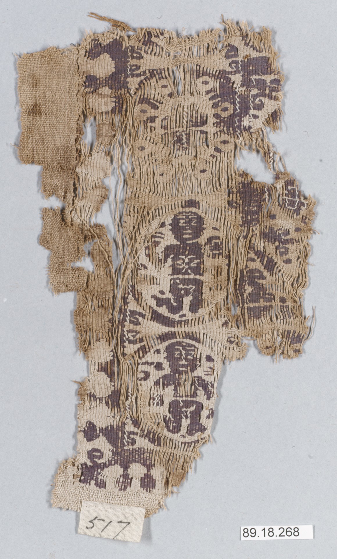 Sartorial Specimen