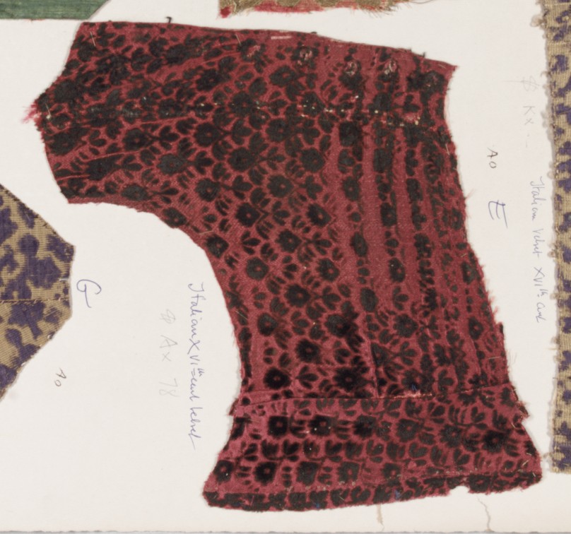 Sartorial Specimen