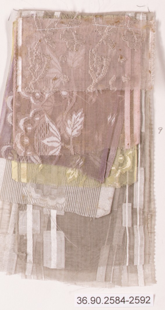 Sartorial Specimen