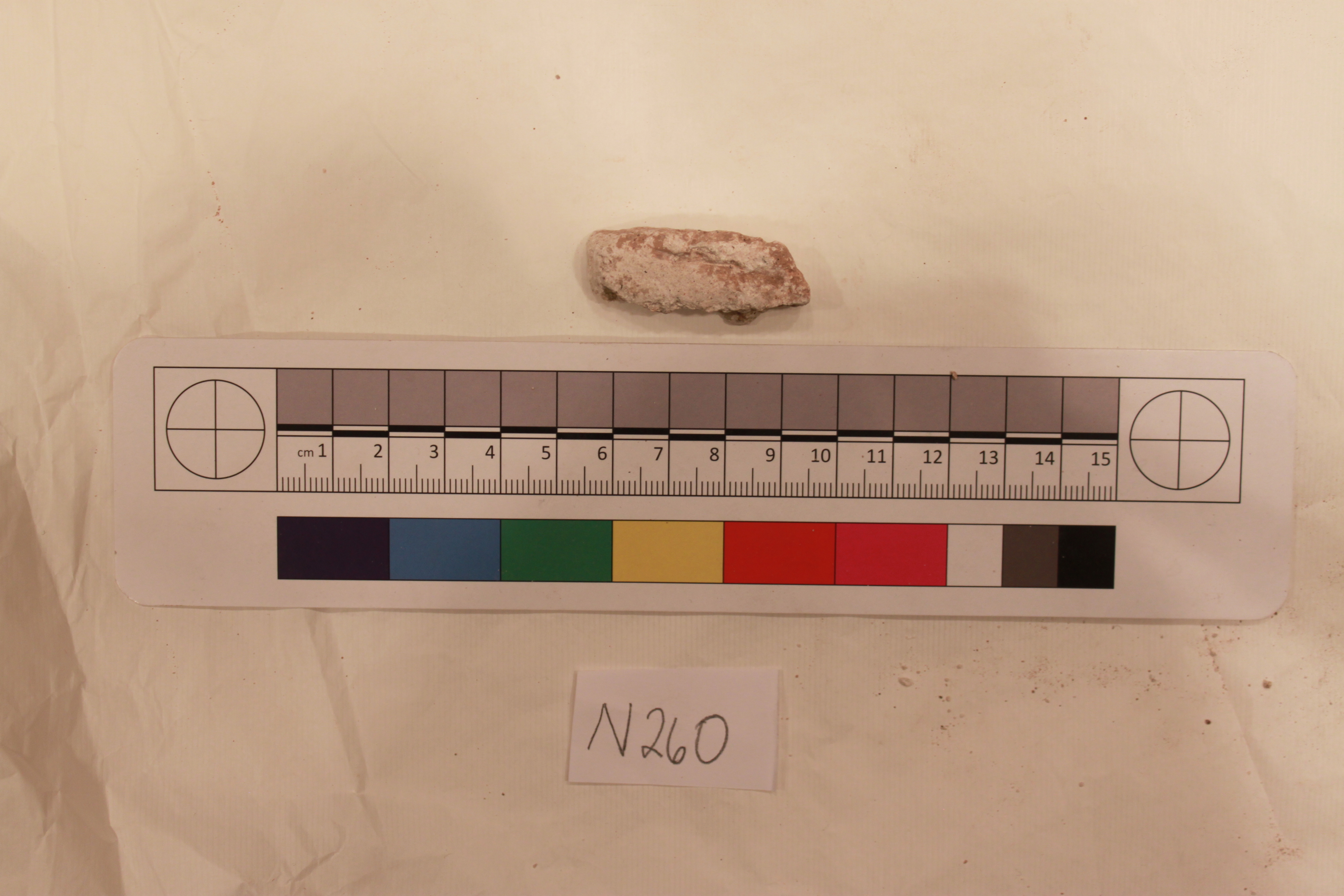 Sartorial Specimen