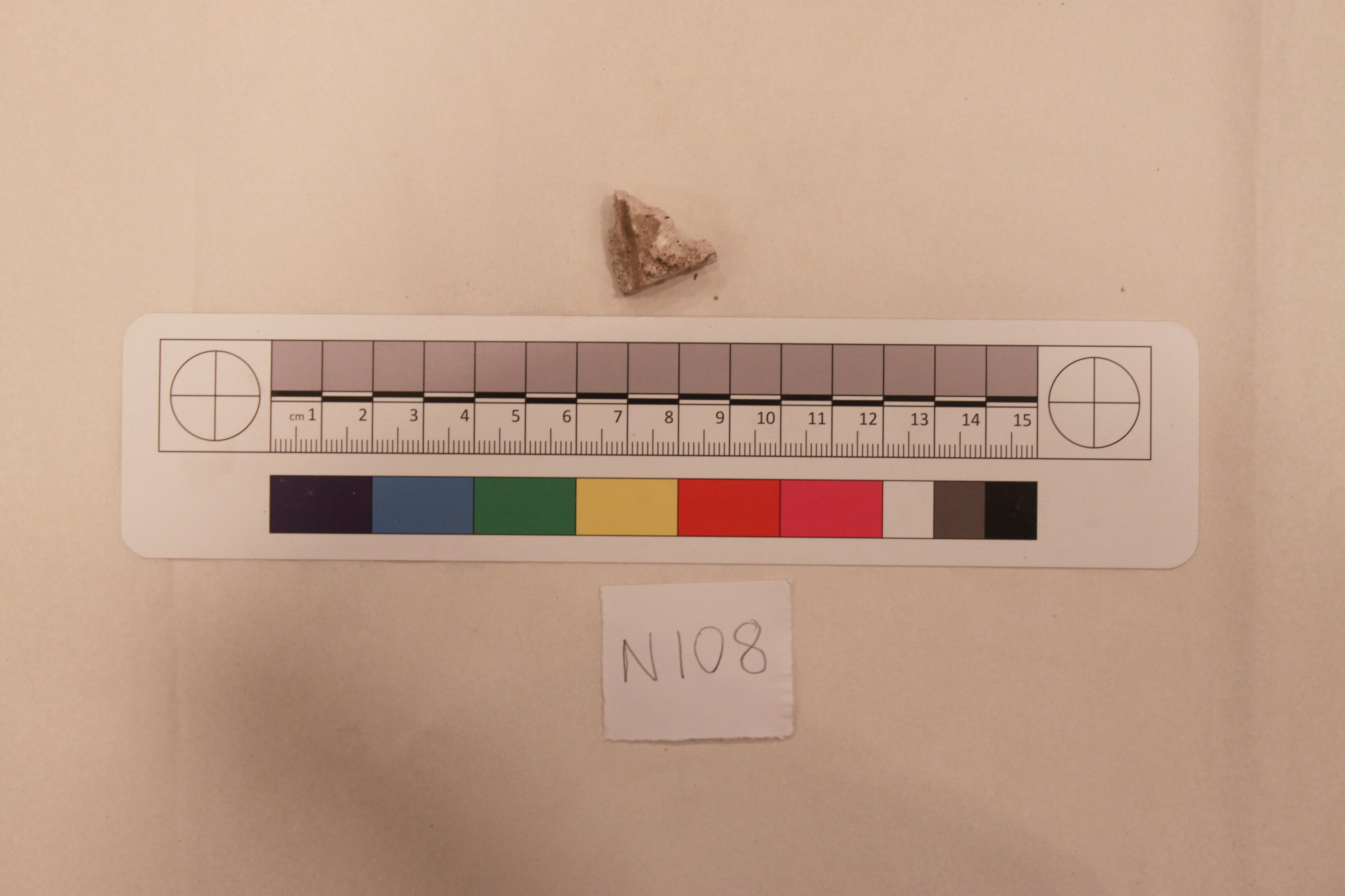 Sartorial Specimen