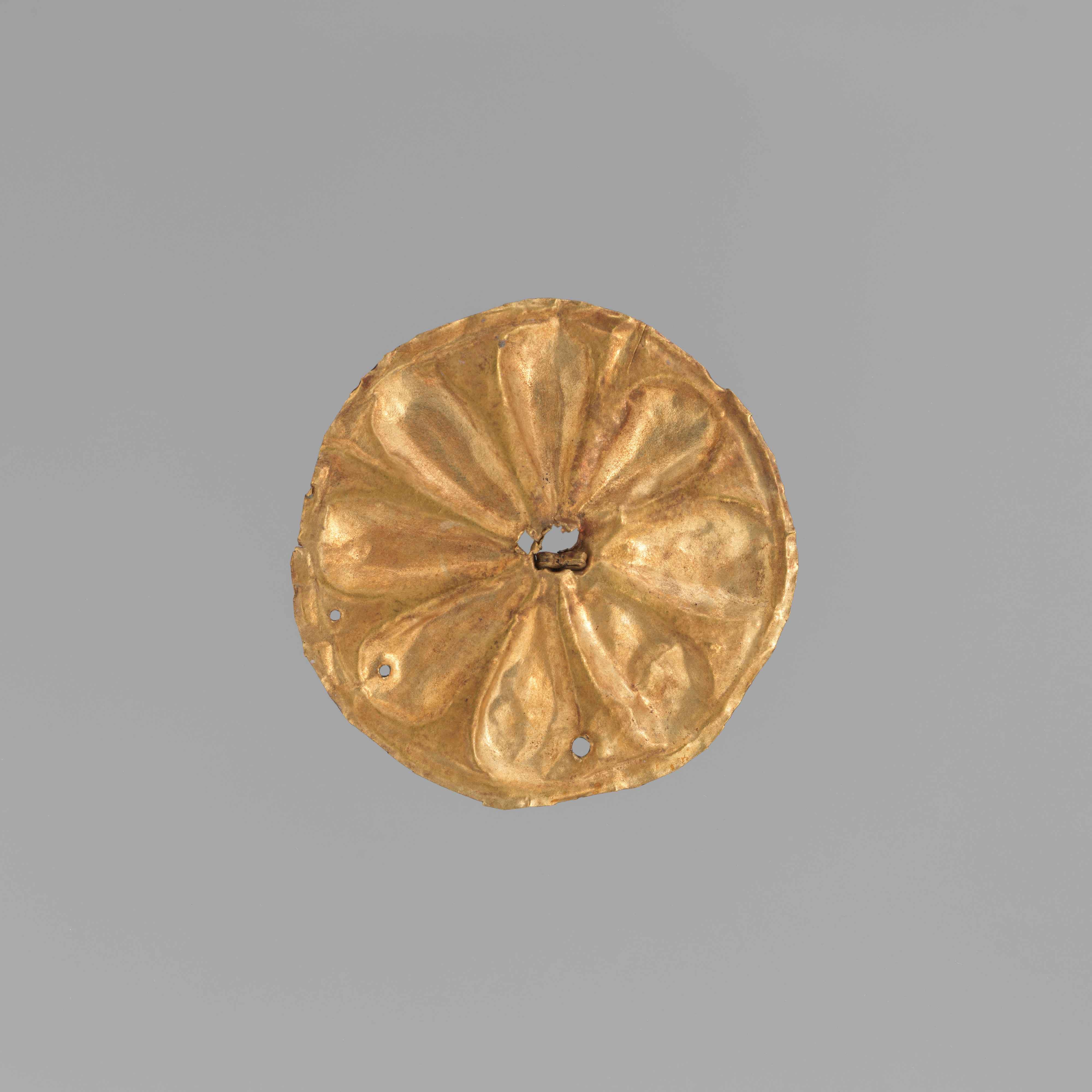 Sartorial Specimen