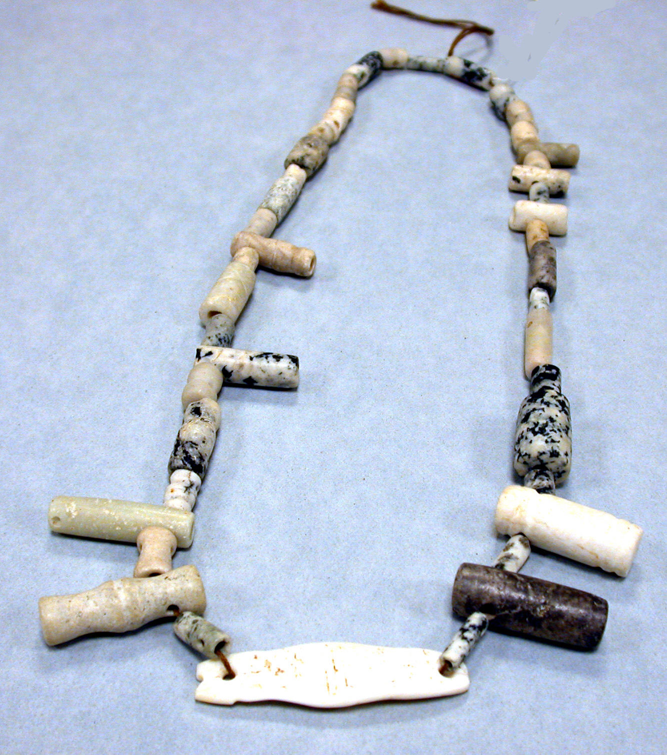 Sartorial Specimen