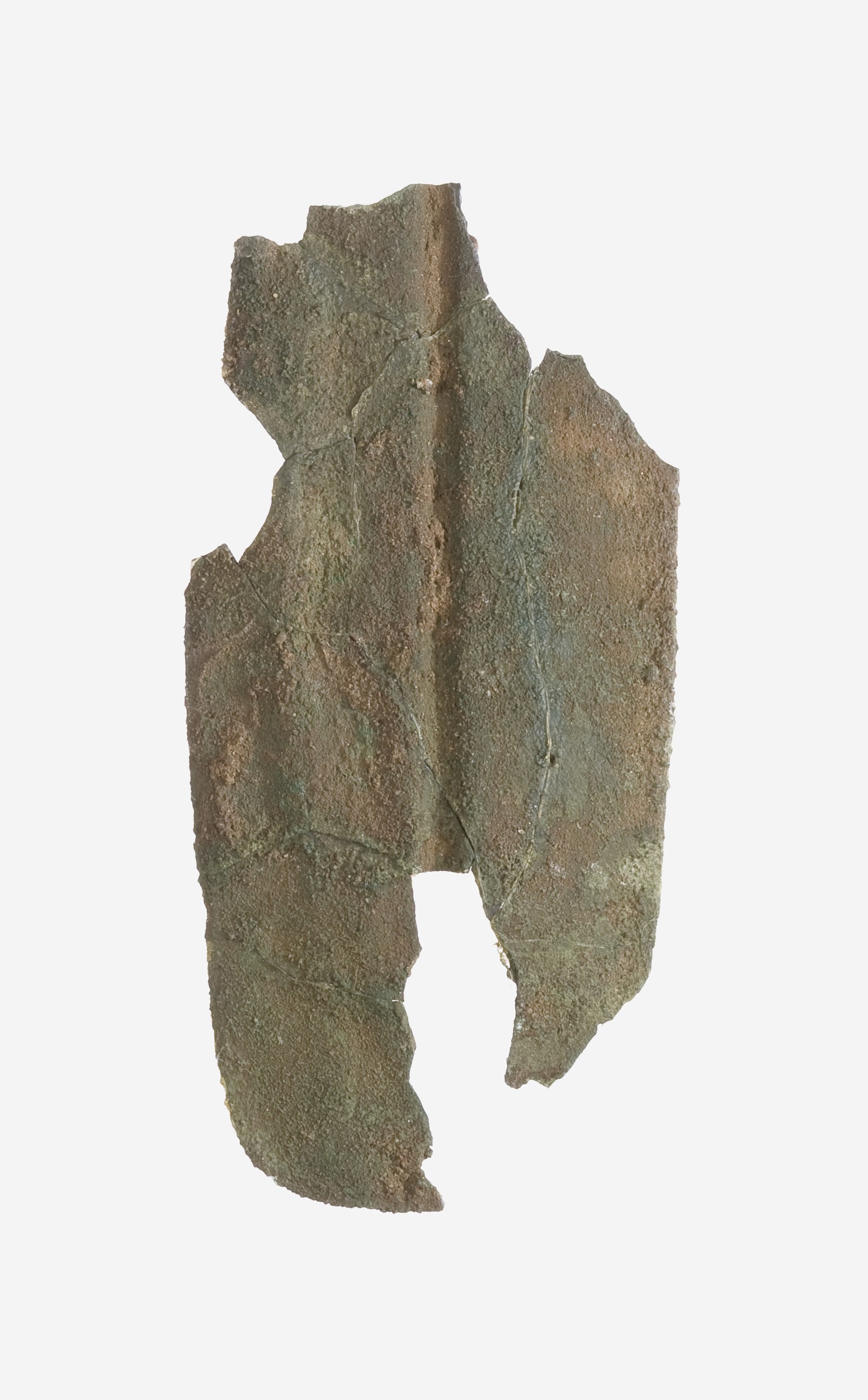Sartorial Specimen