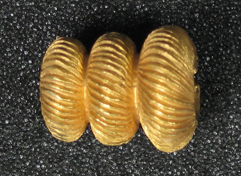 Sartorial Specimen