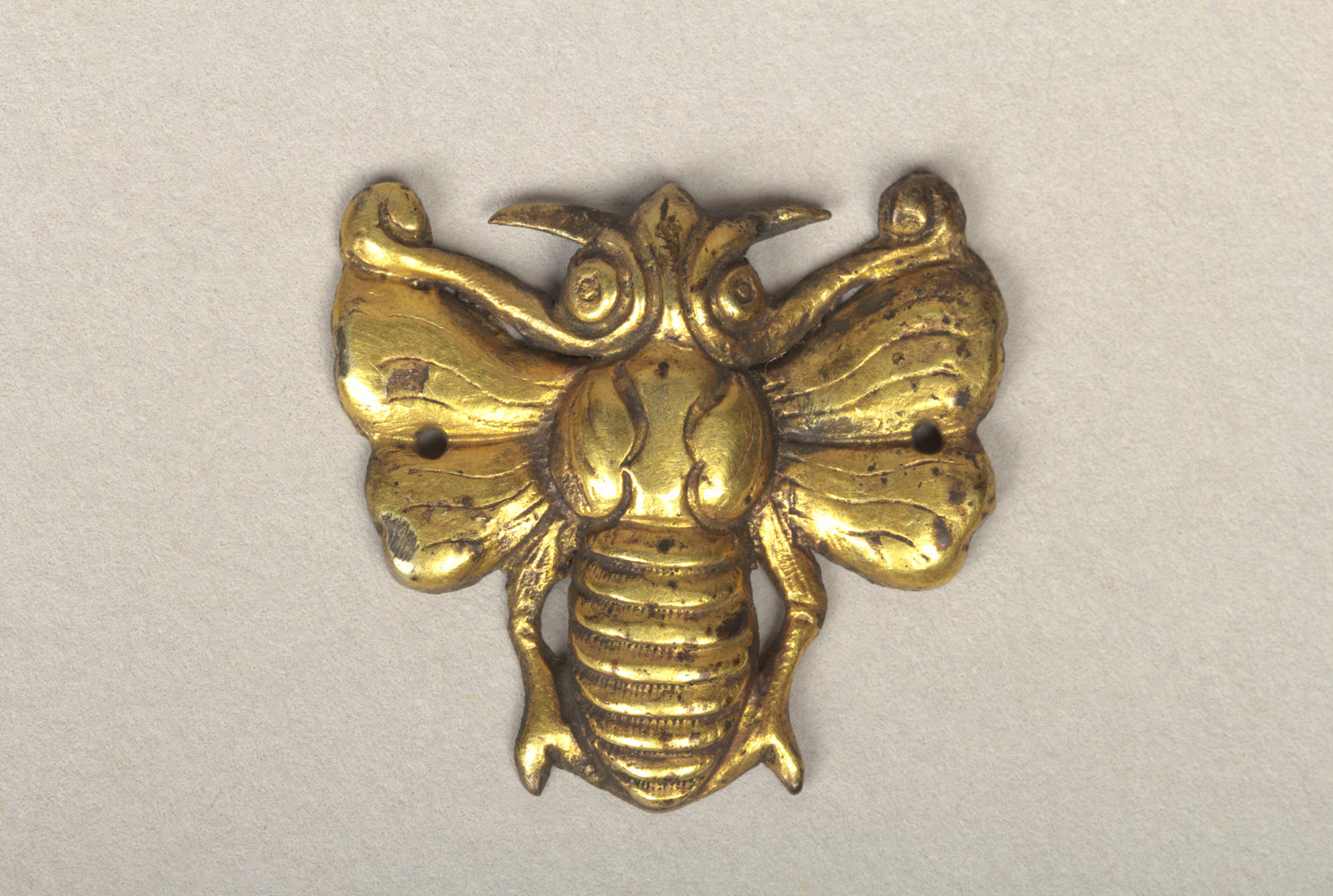 Sartorial Specimen