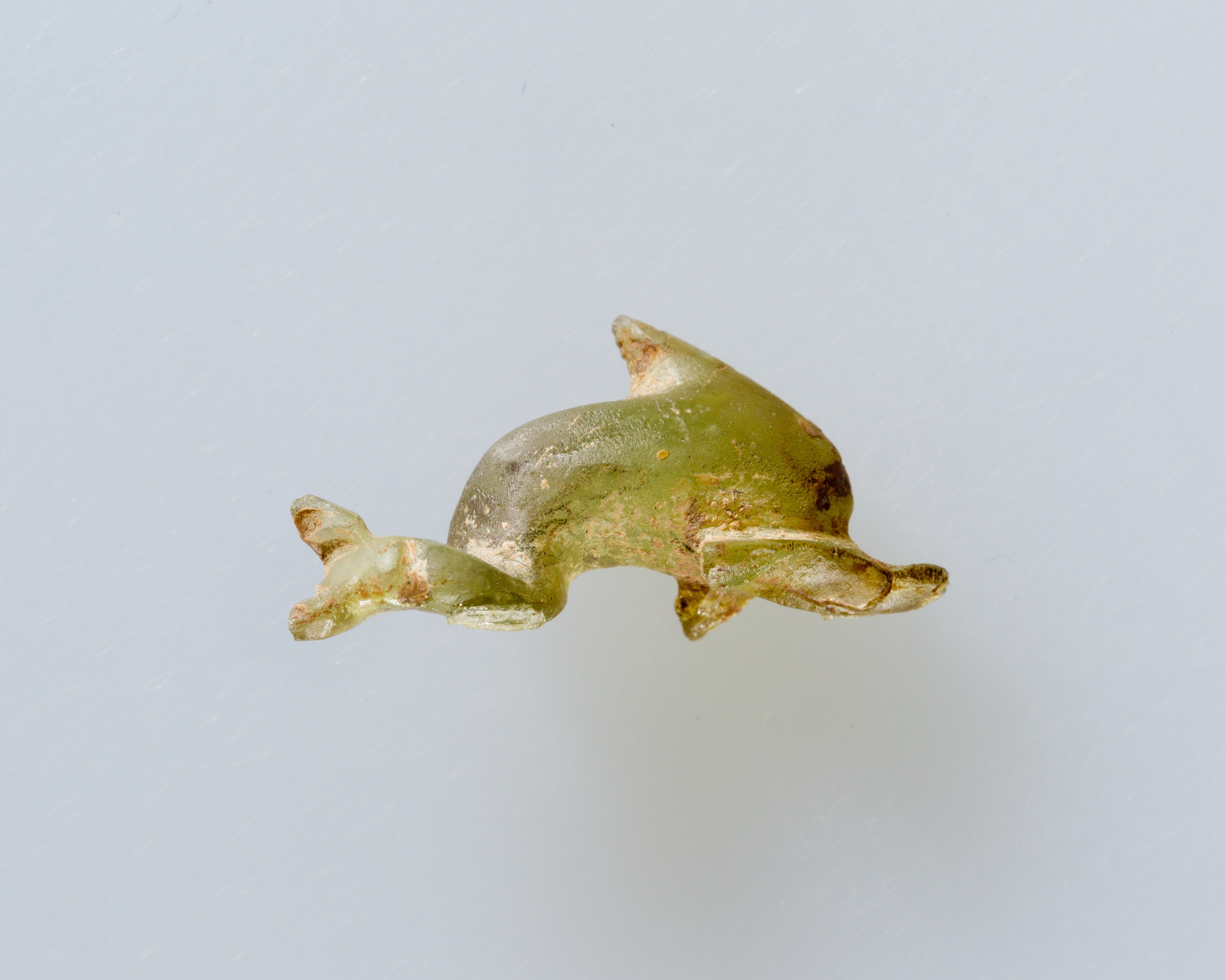 Sartorial Specimen