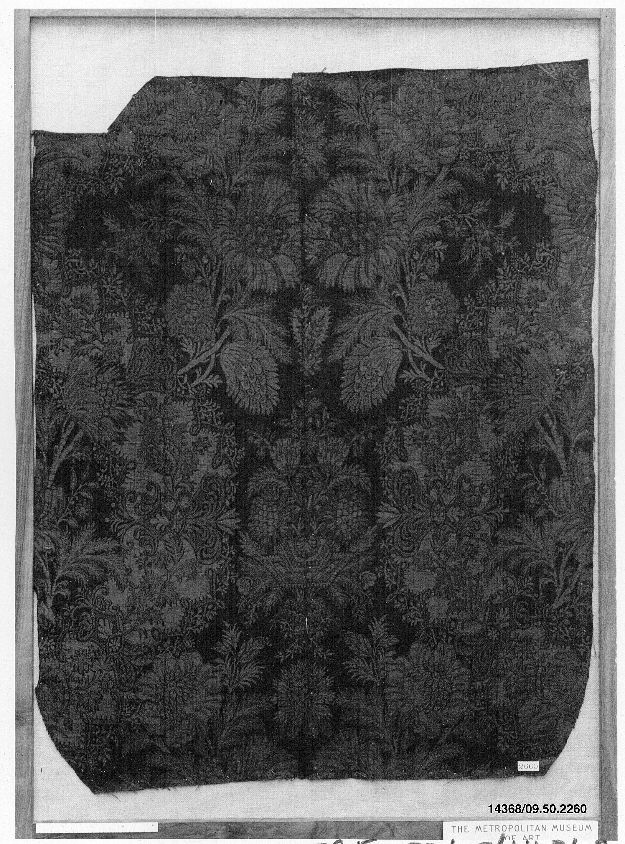 Sartorial Specimen