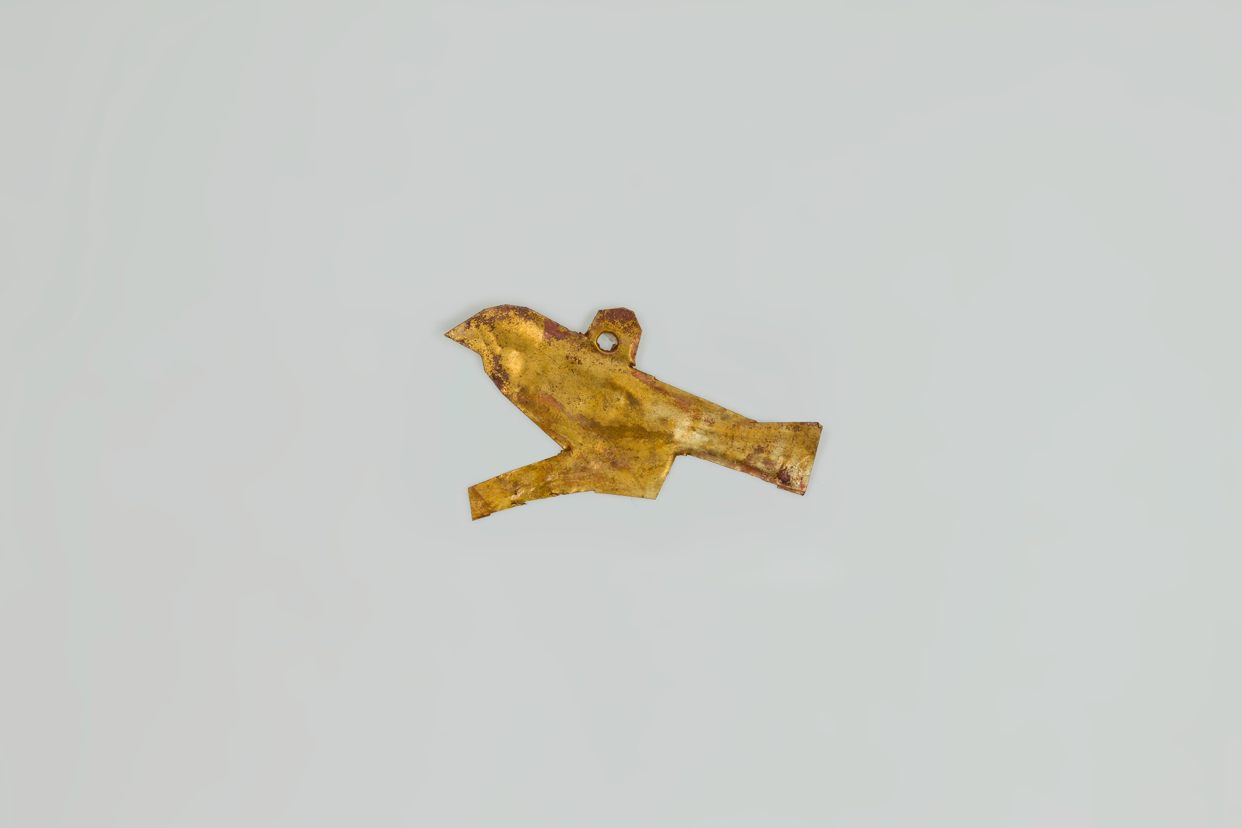 Sartorial Specimen
