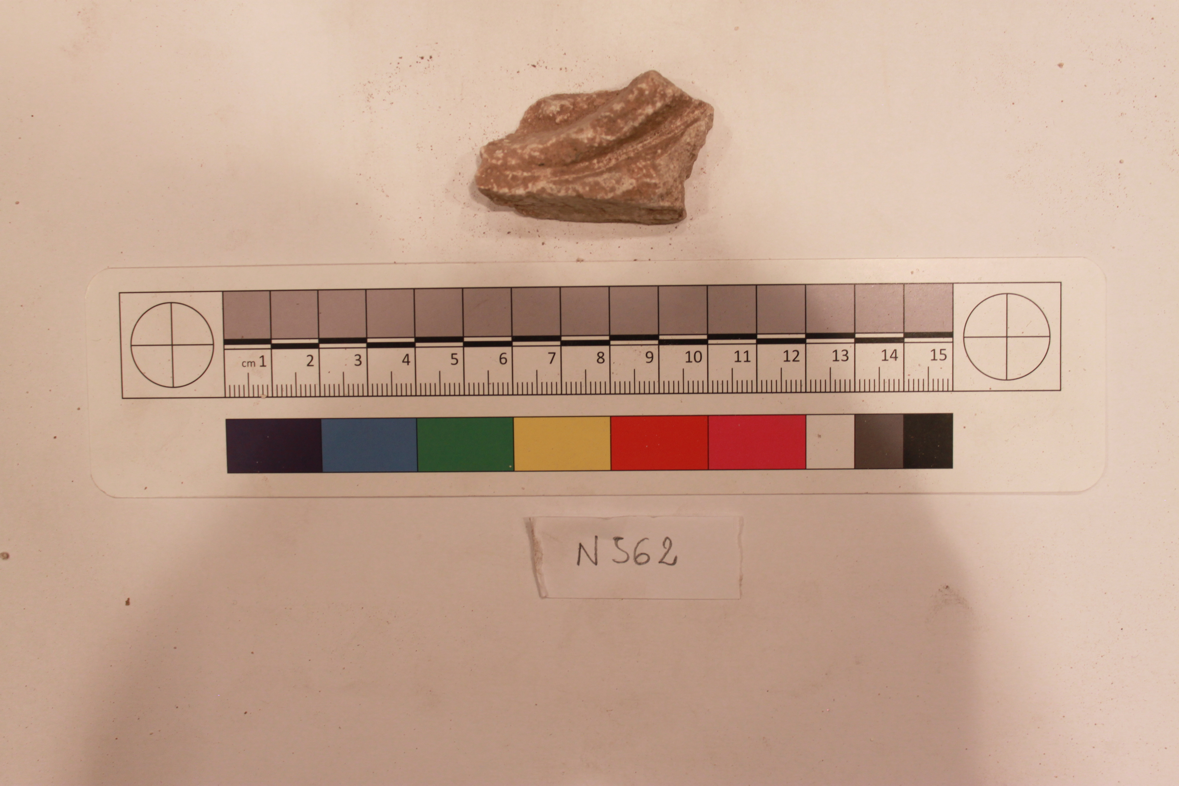 Sartorial Specimen