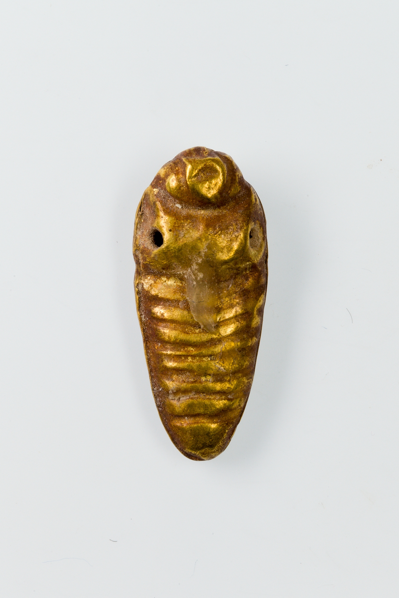 Sartorial Specimen