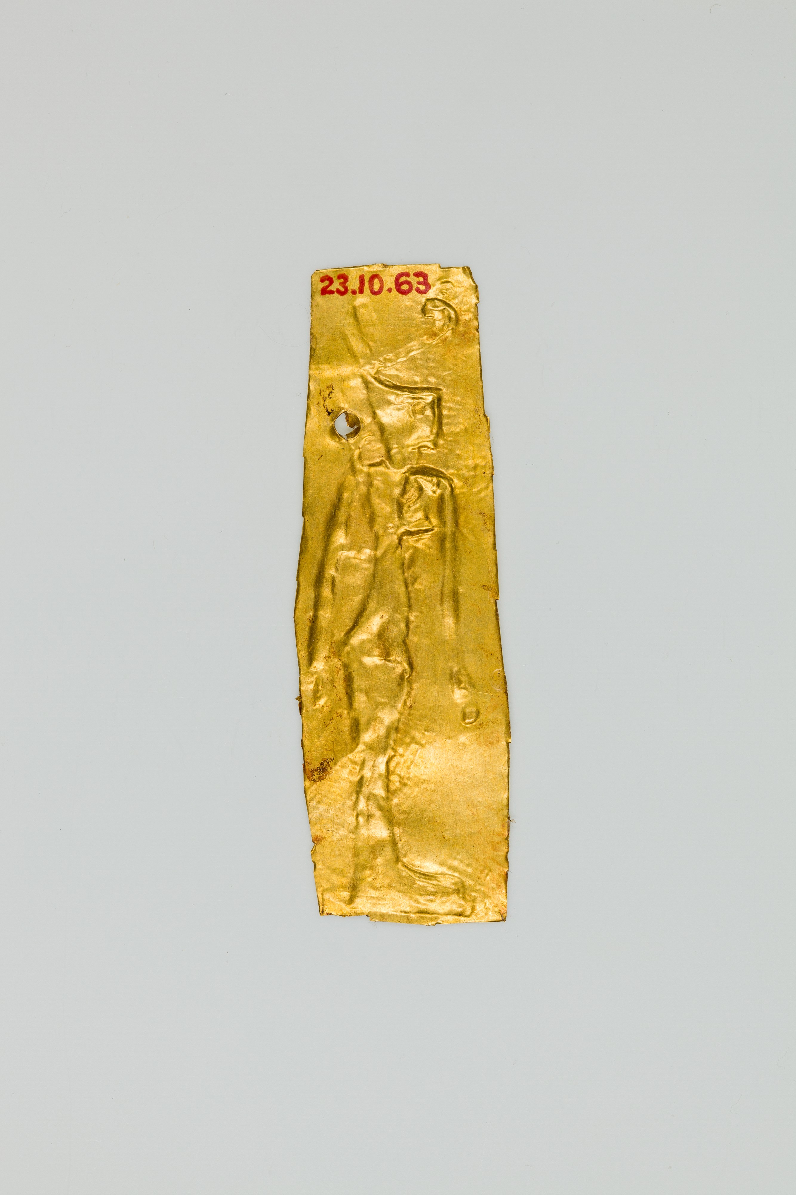 Sartorial Specimen