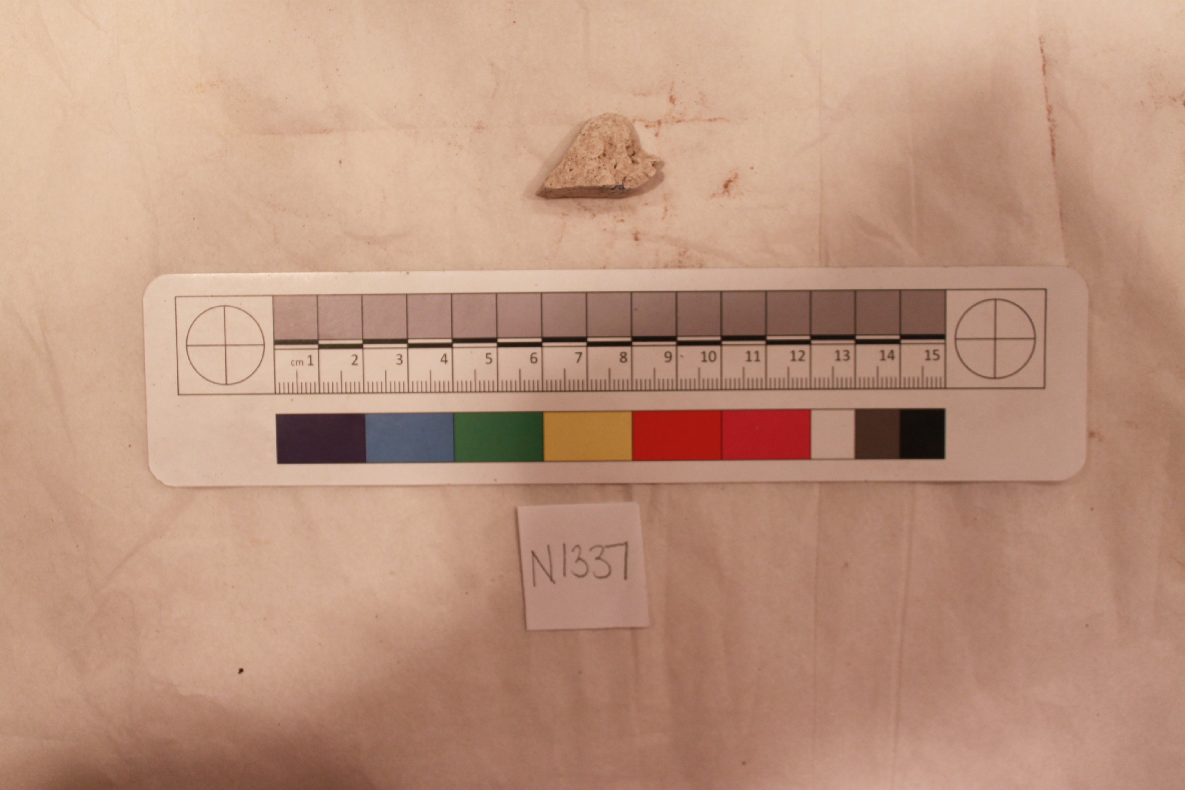 Sartorial Specimen