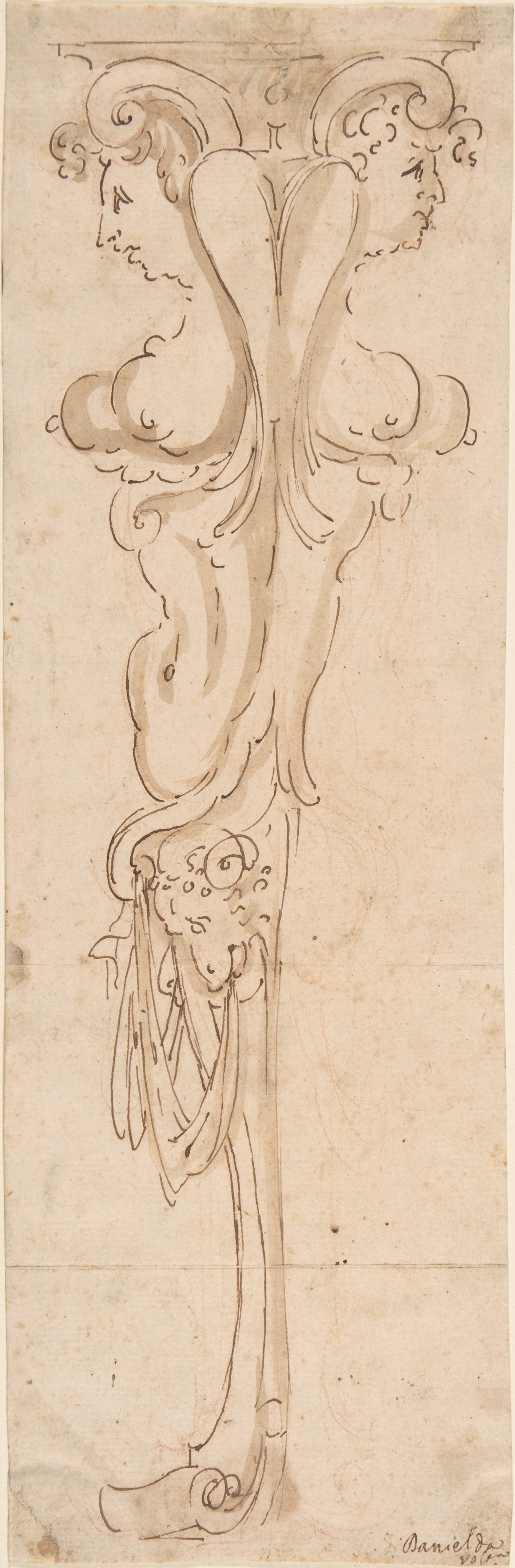 Sartorial Specimen