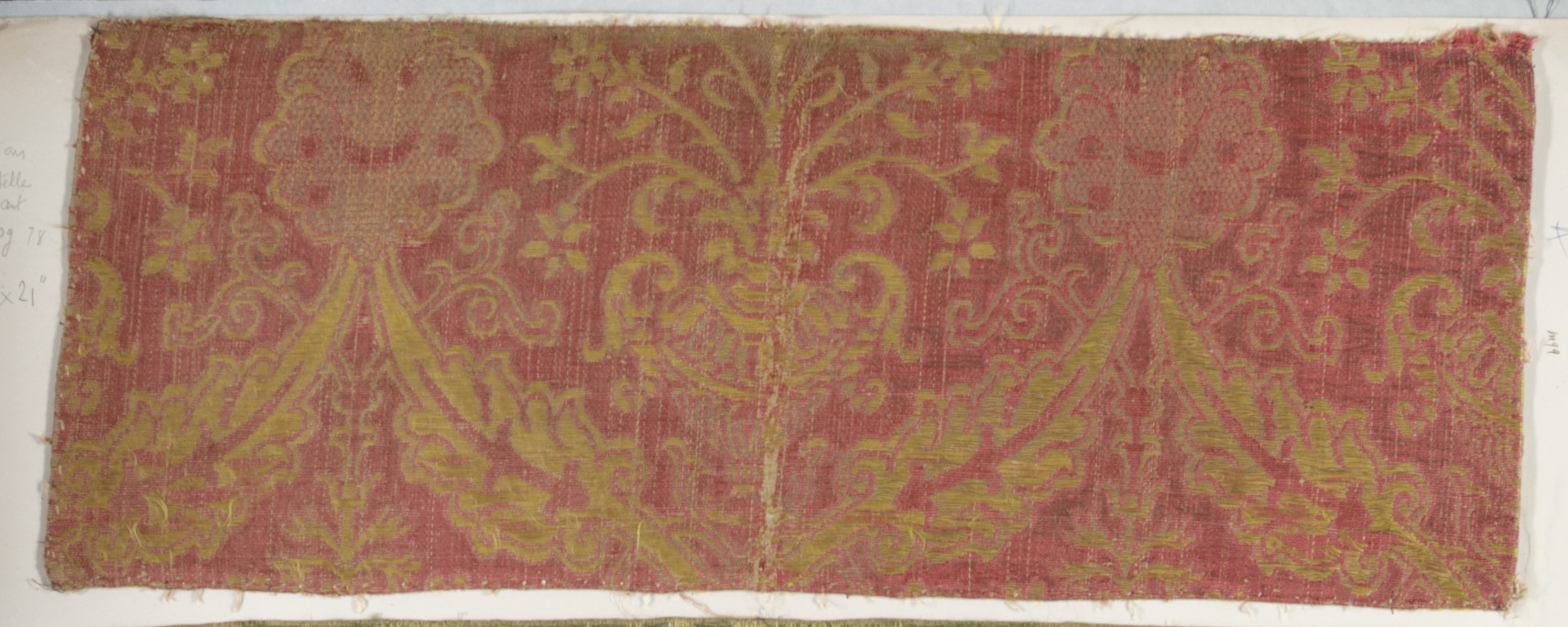Sartorial Specimen
