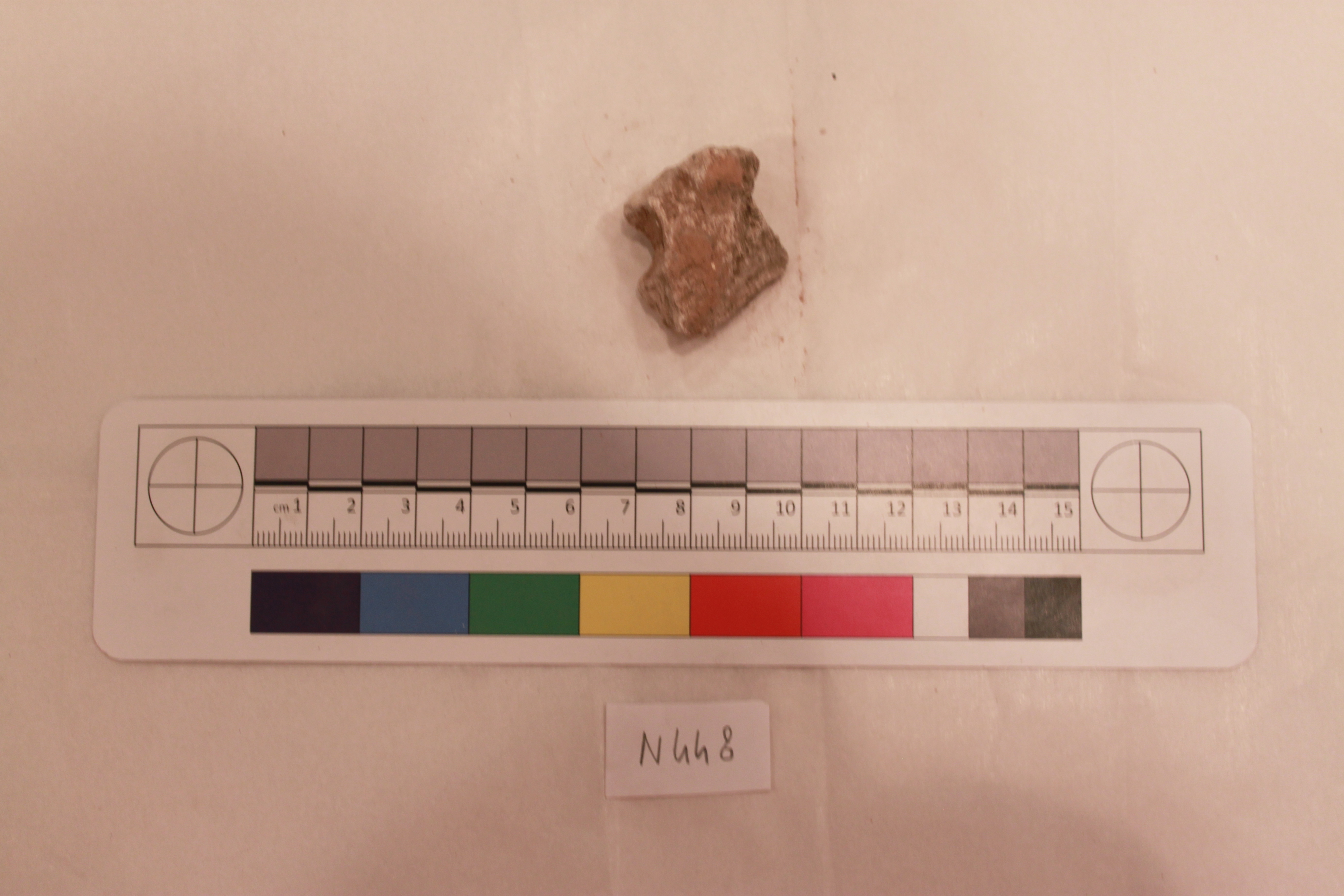 Sartorial Specimen