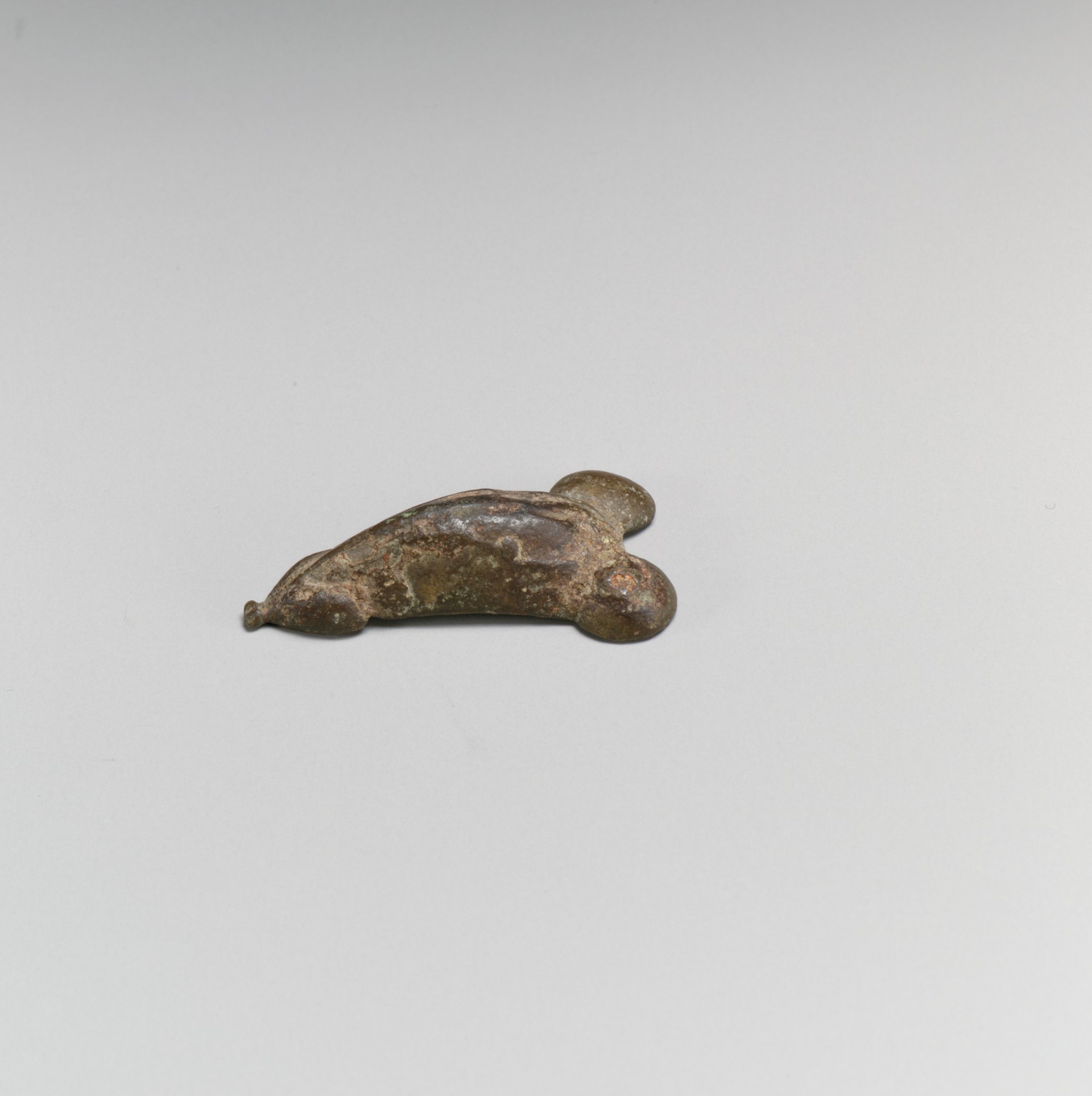 Sartorial Specimen