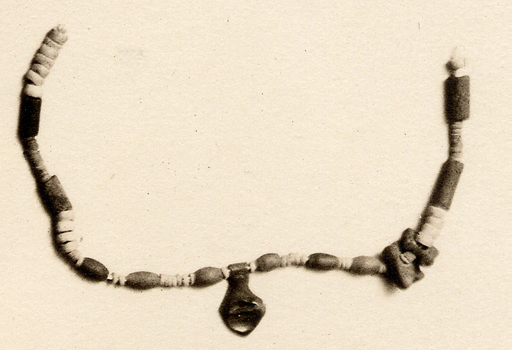 Sartorial Specimen