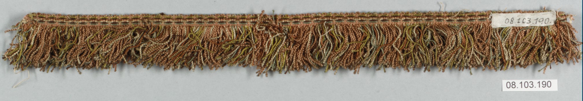 Sartorial Specimen