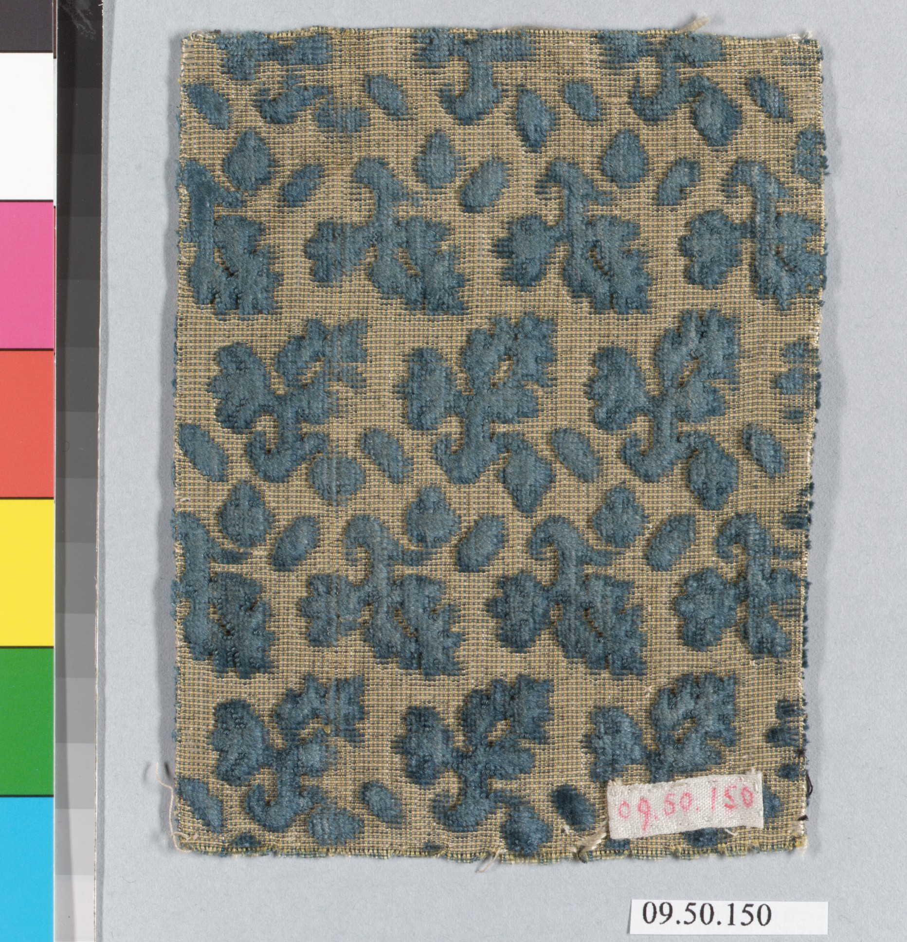 Sartorial Specimen
