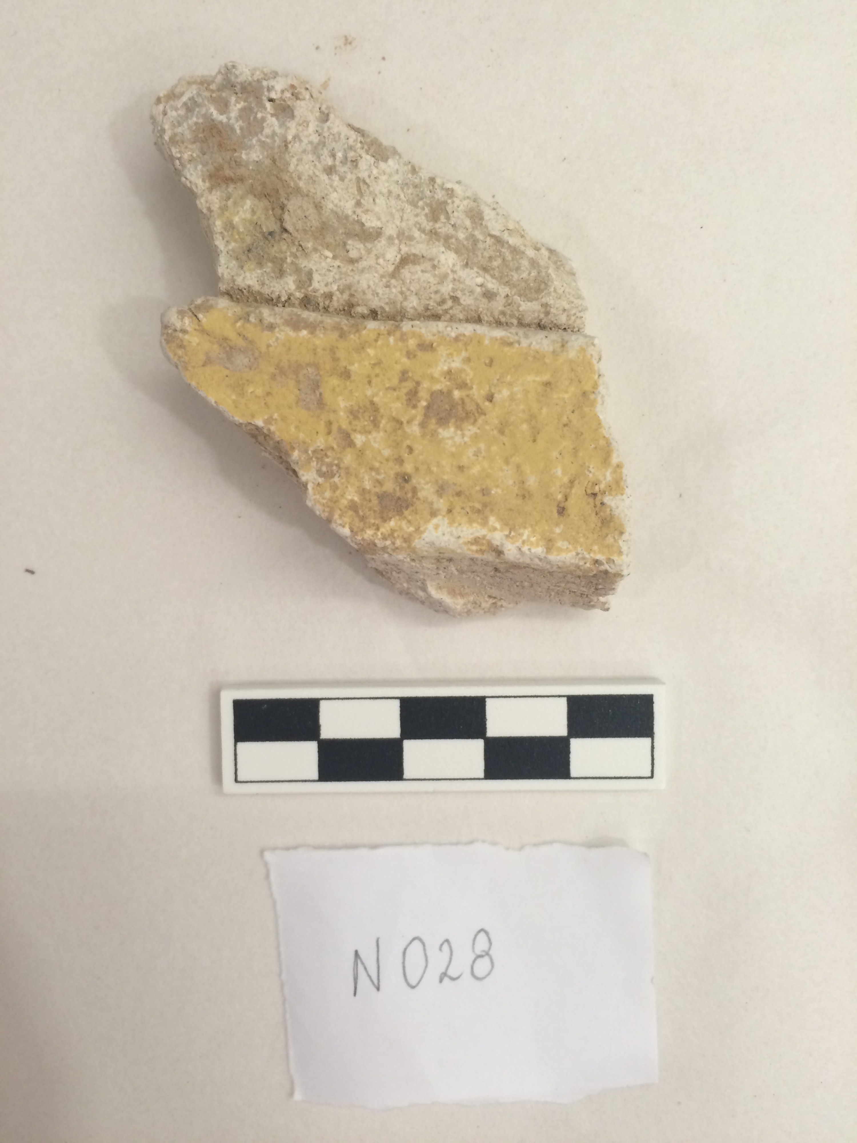 Sartorial Specimen