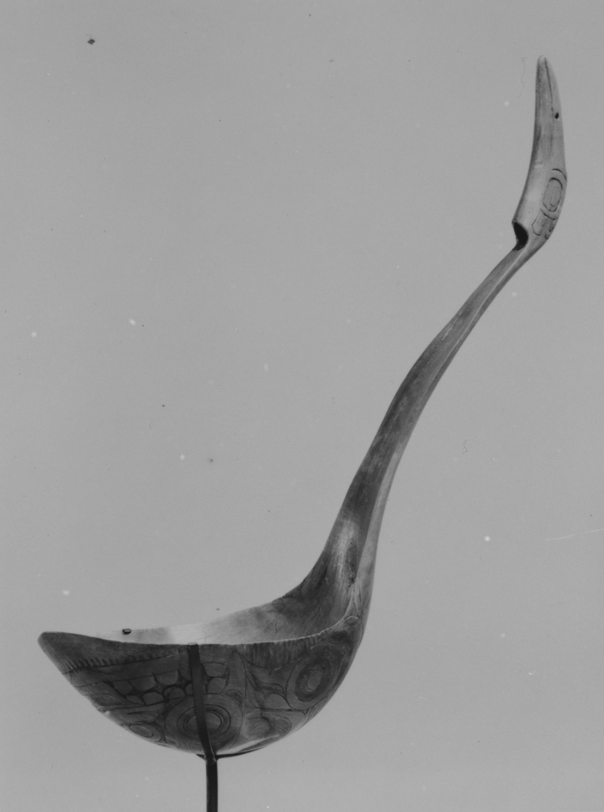 Sartorial Specimen