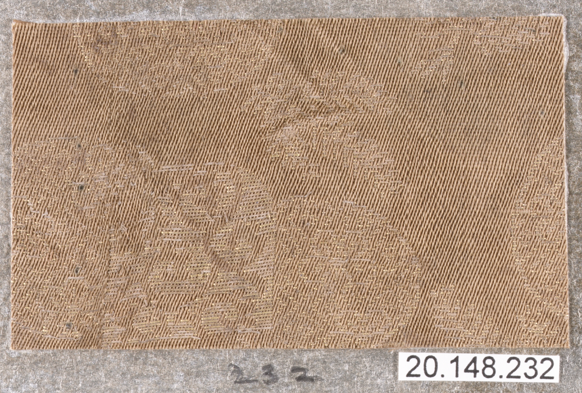 Sartorial Specimen