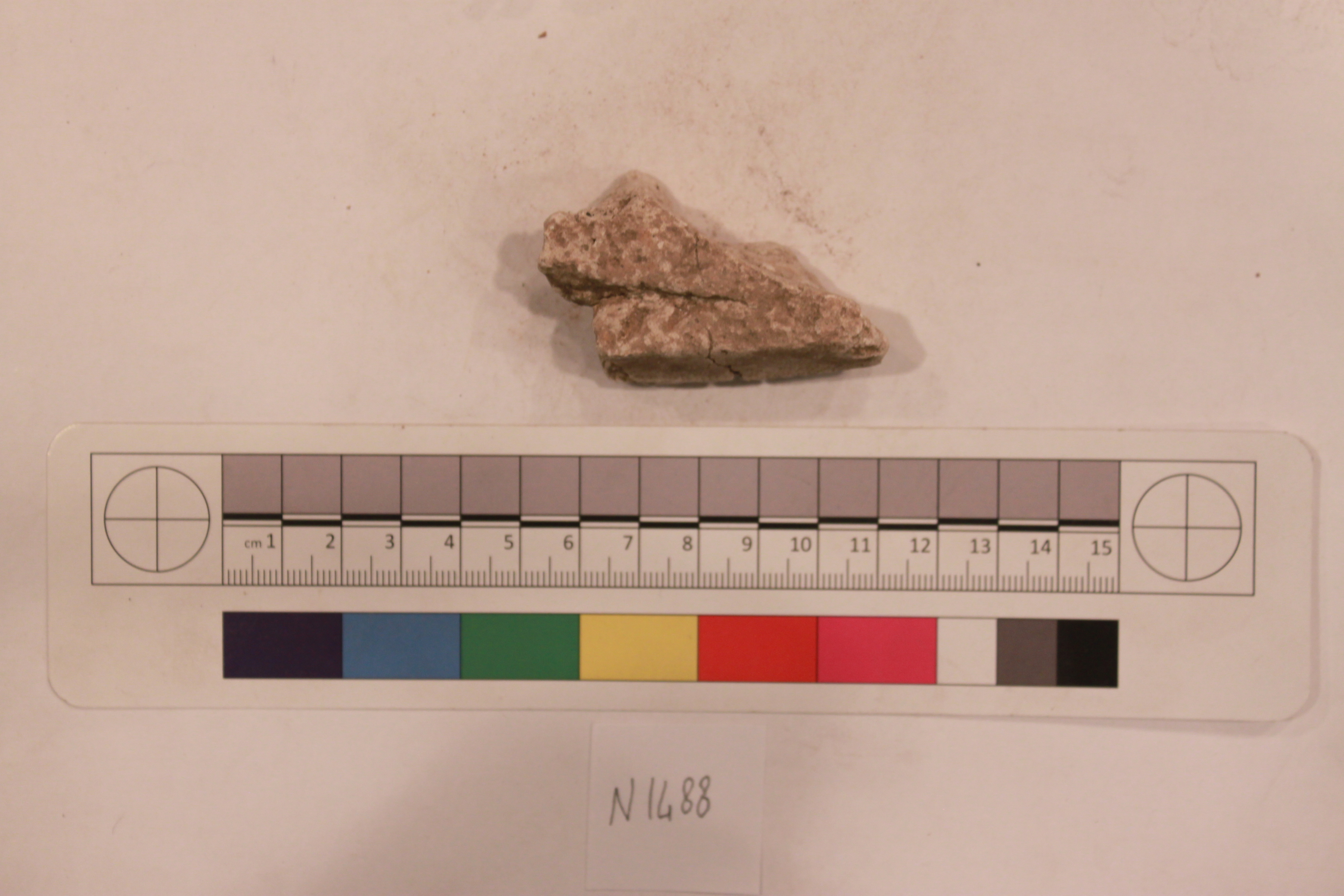Sartorial Specimen