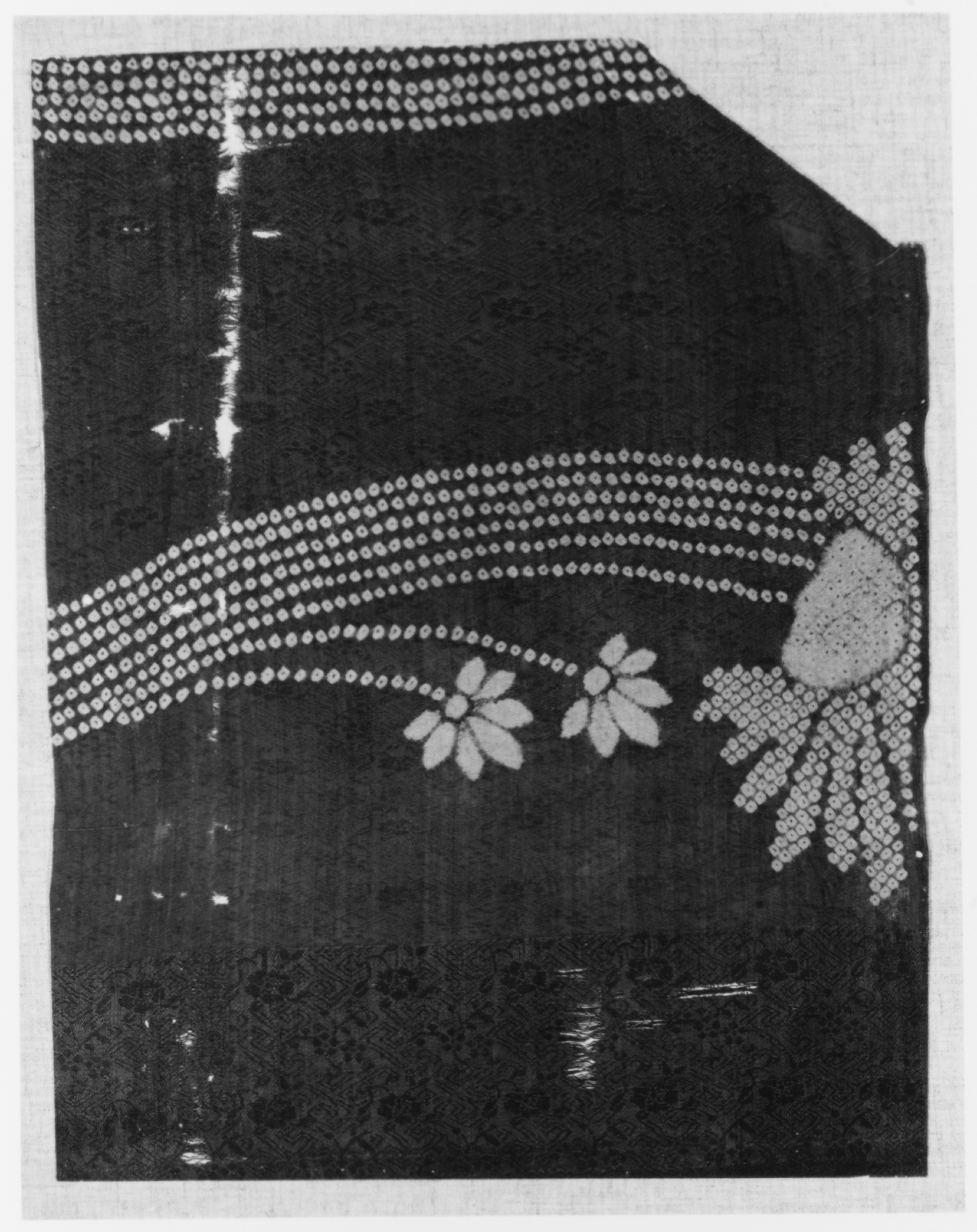Sartorial Specimen