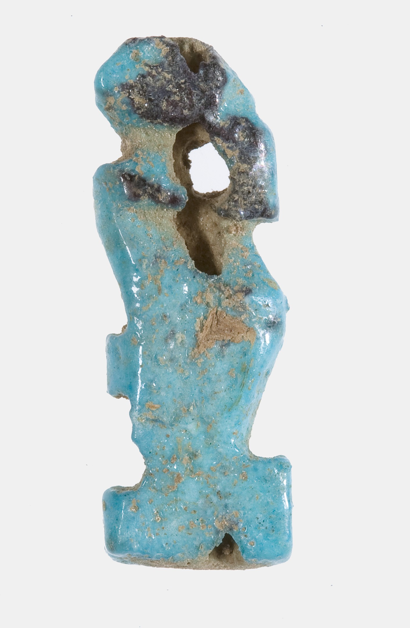 Sartorial Specimen