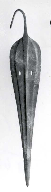Sartorial Specimen