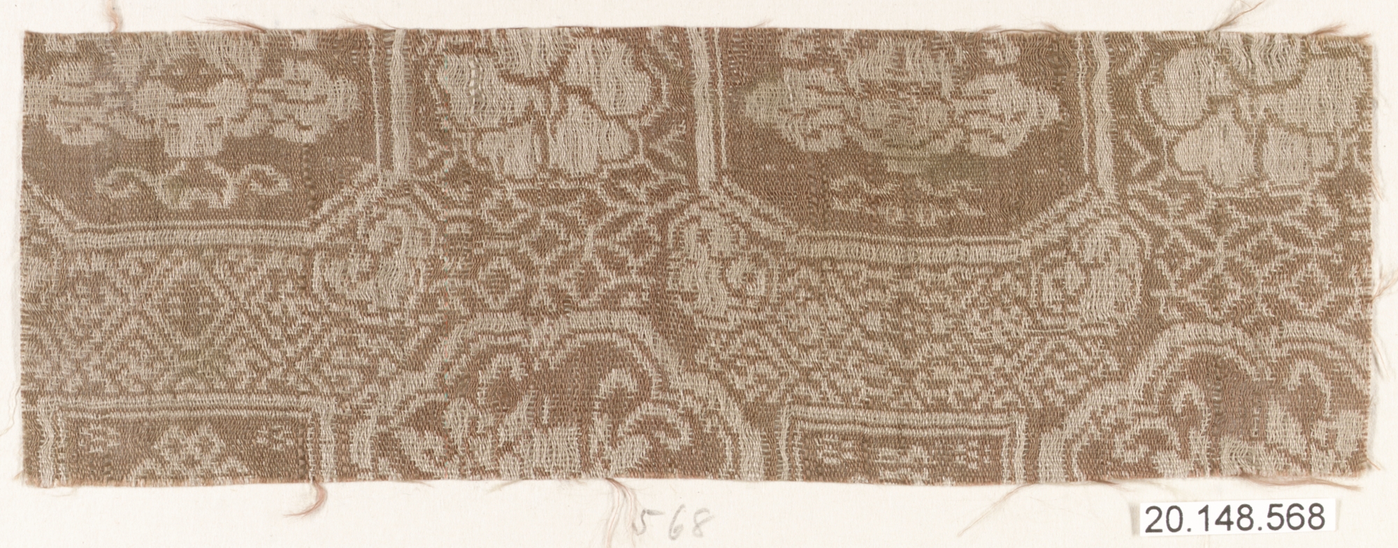 Sartorial Specimen