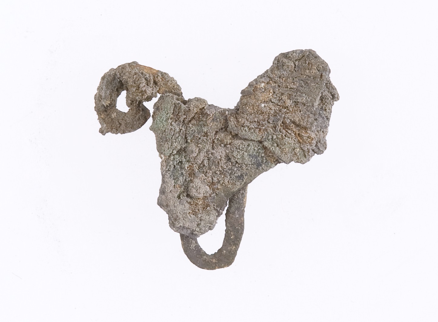 Sartorial Specimen