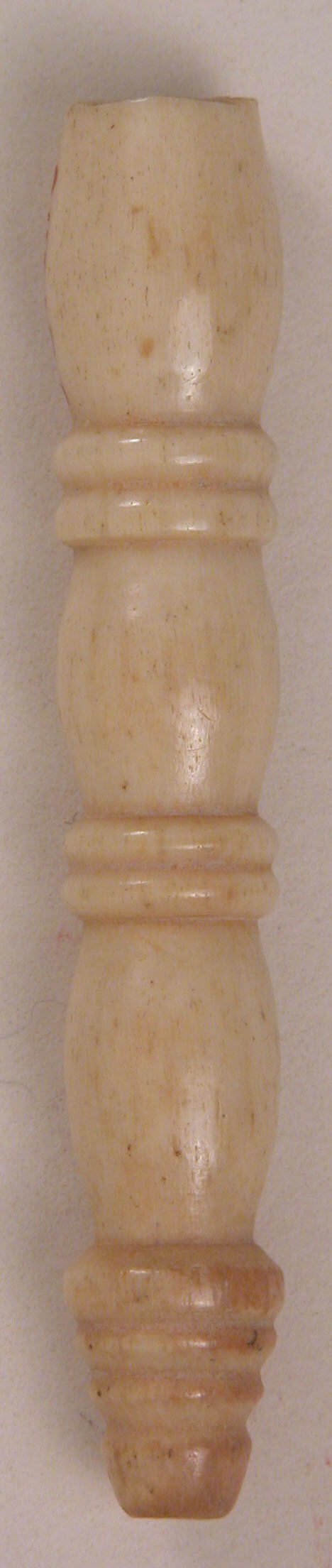 Sartorial Specimen