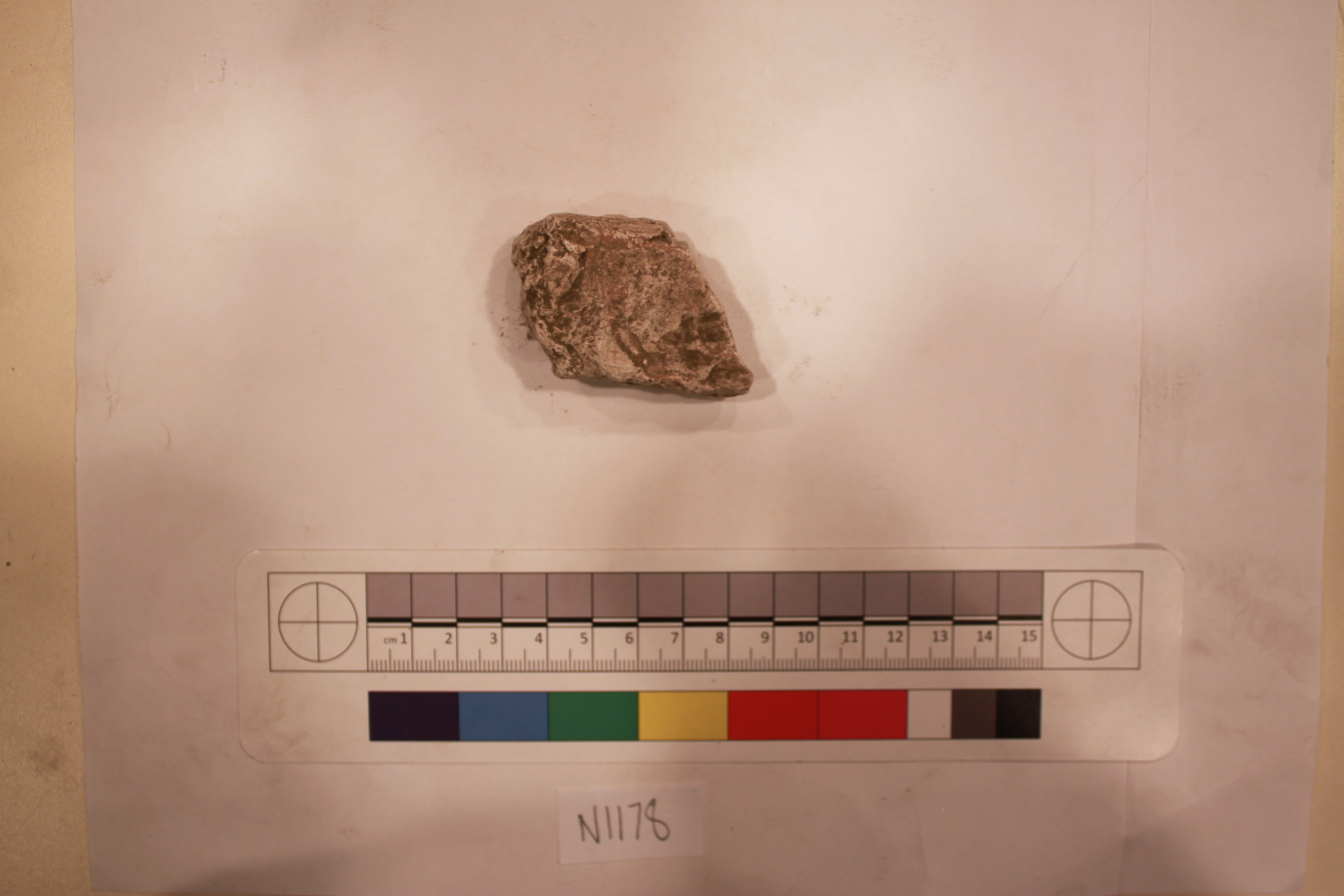 Sartorial Specimen