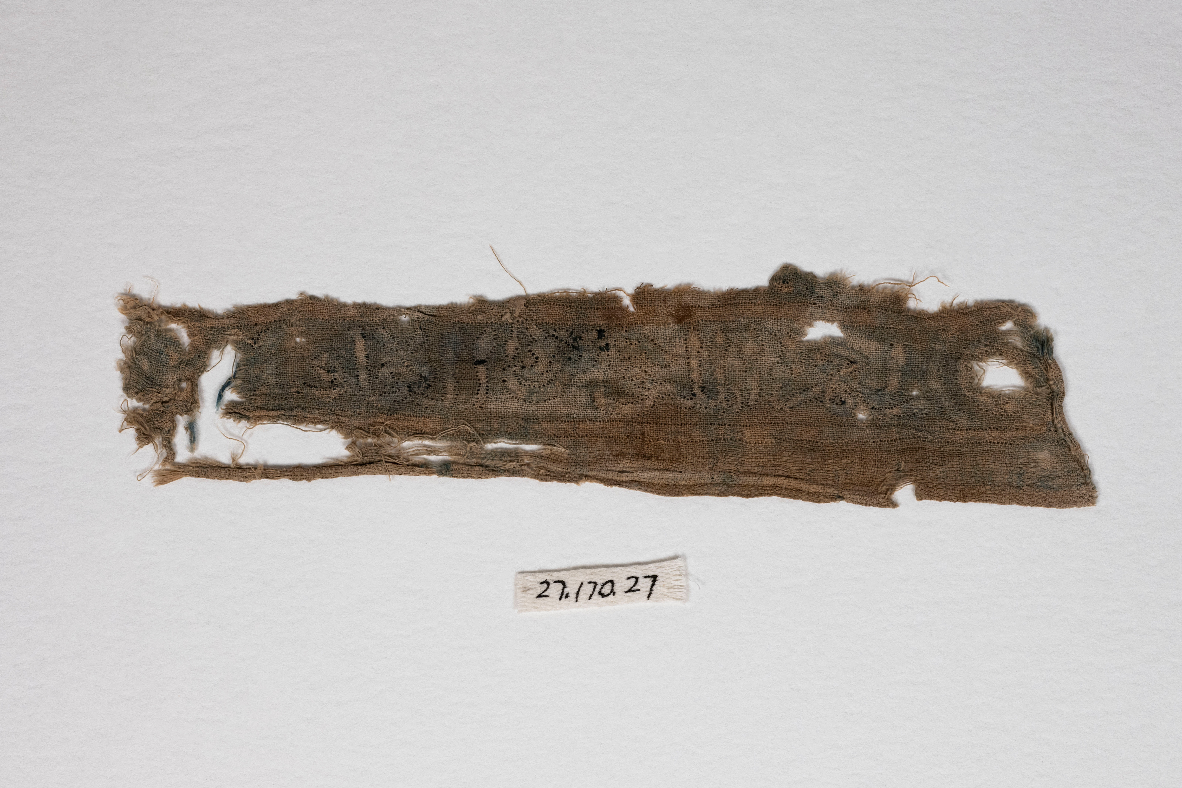 Sartorial Specimen