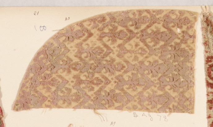 Sartorial Specimen