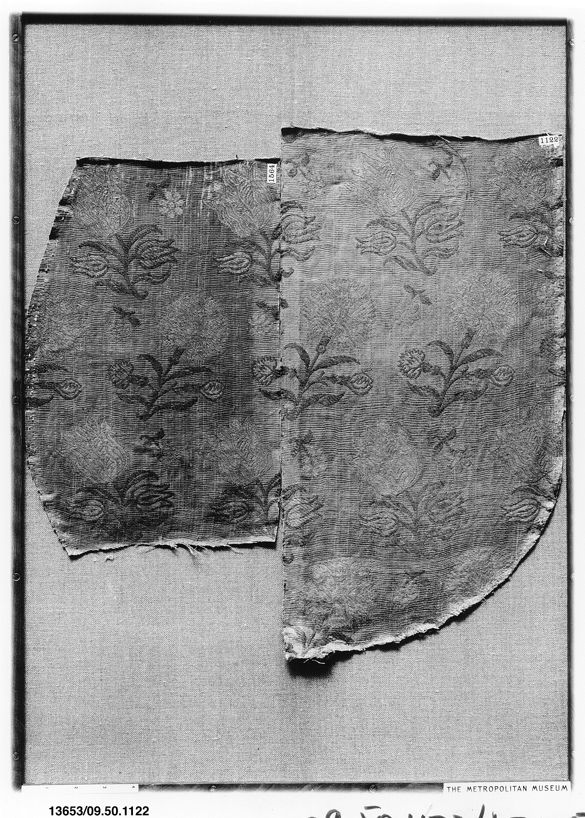 Sartorial Specimen