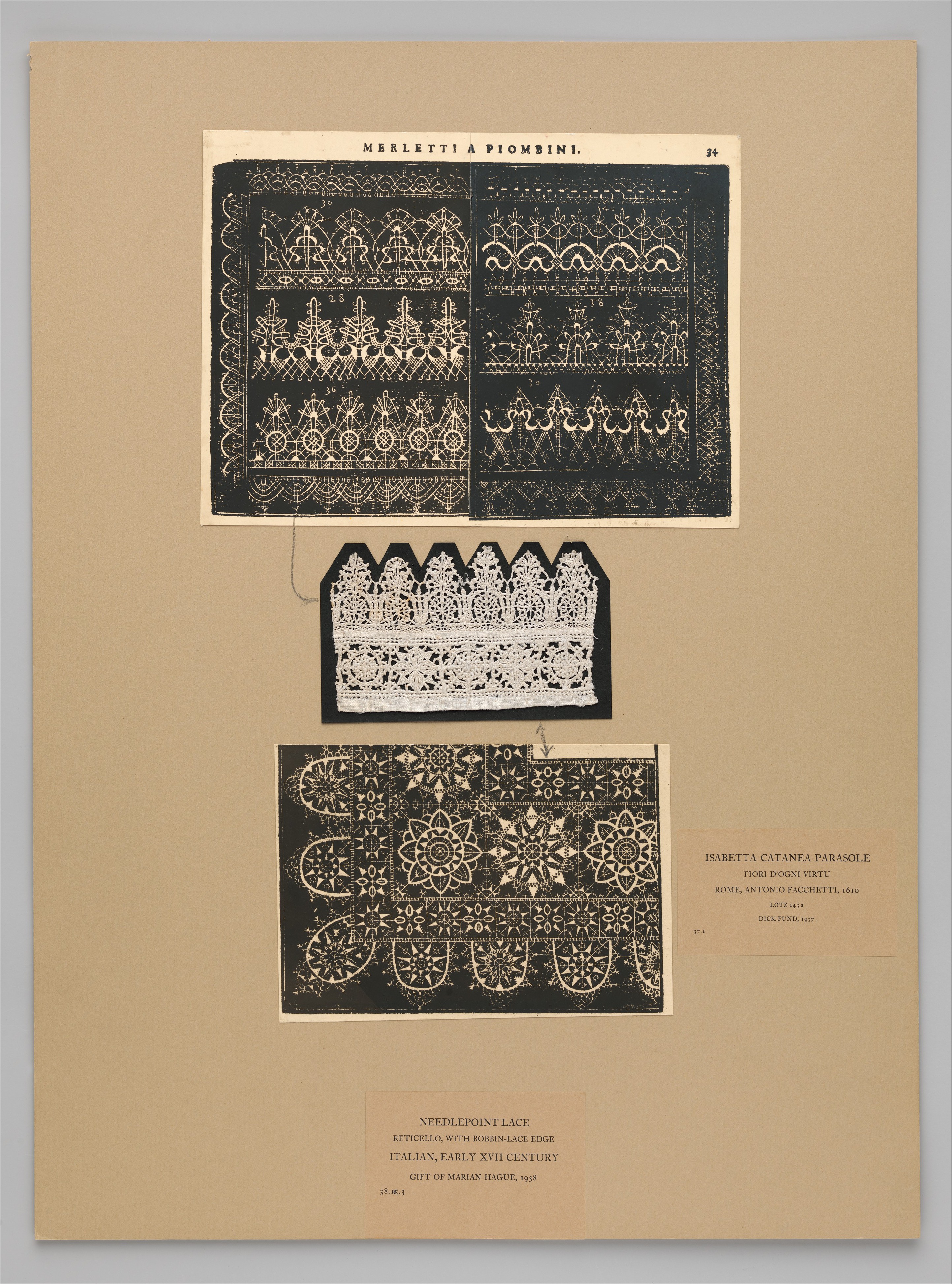 Sartorial Specimen