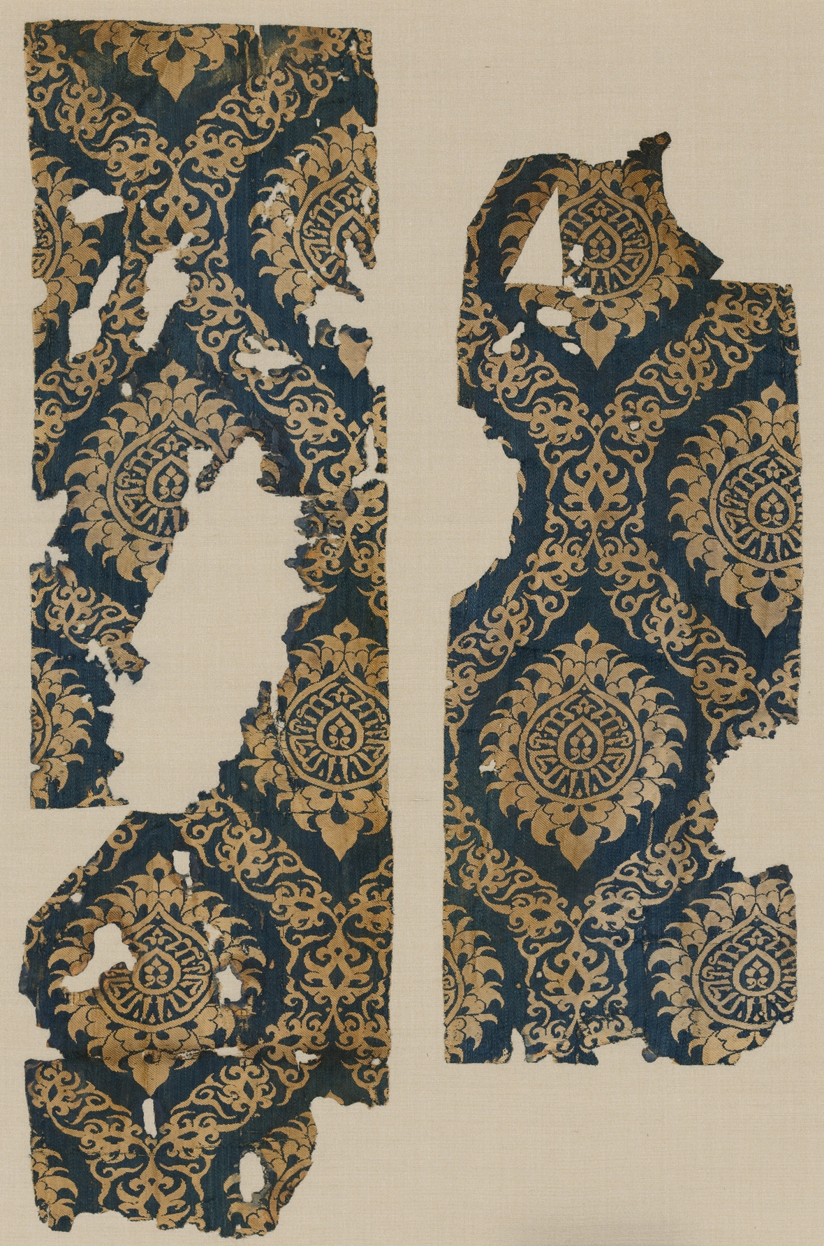 Sartorial Specimen