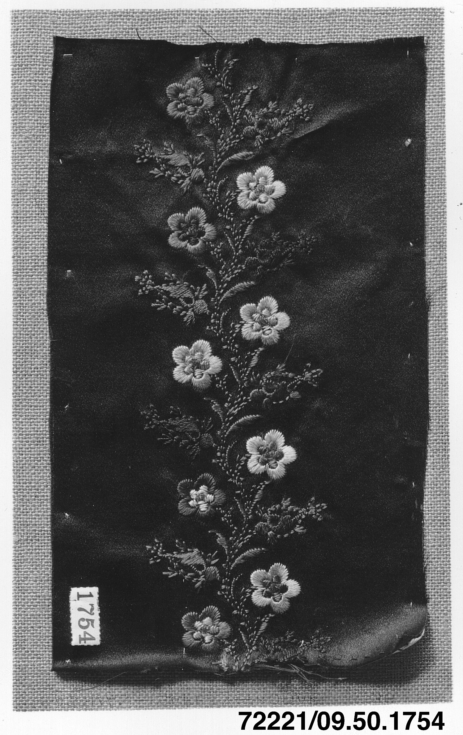 Sartorial Specimen