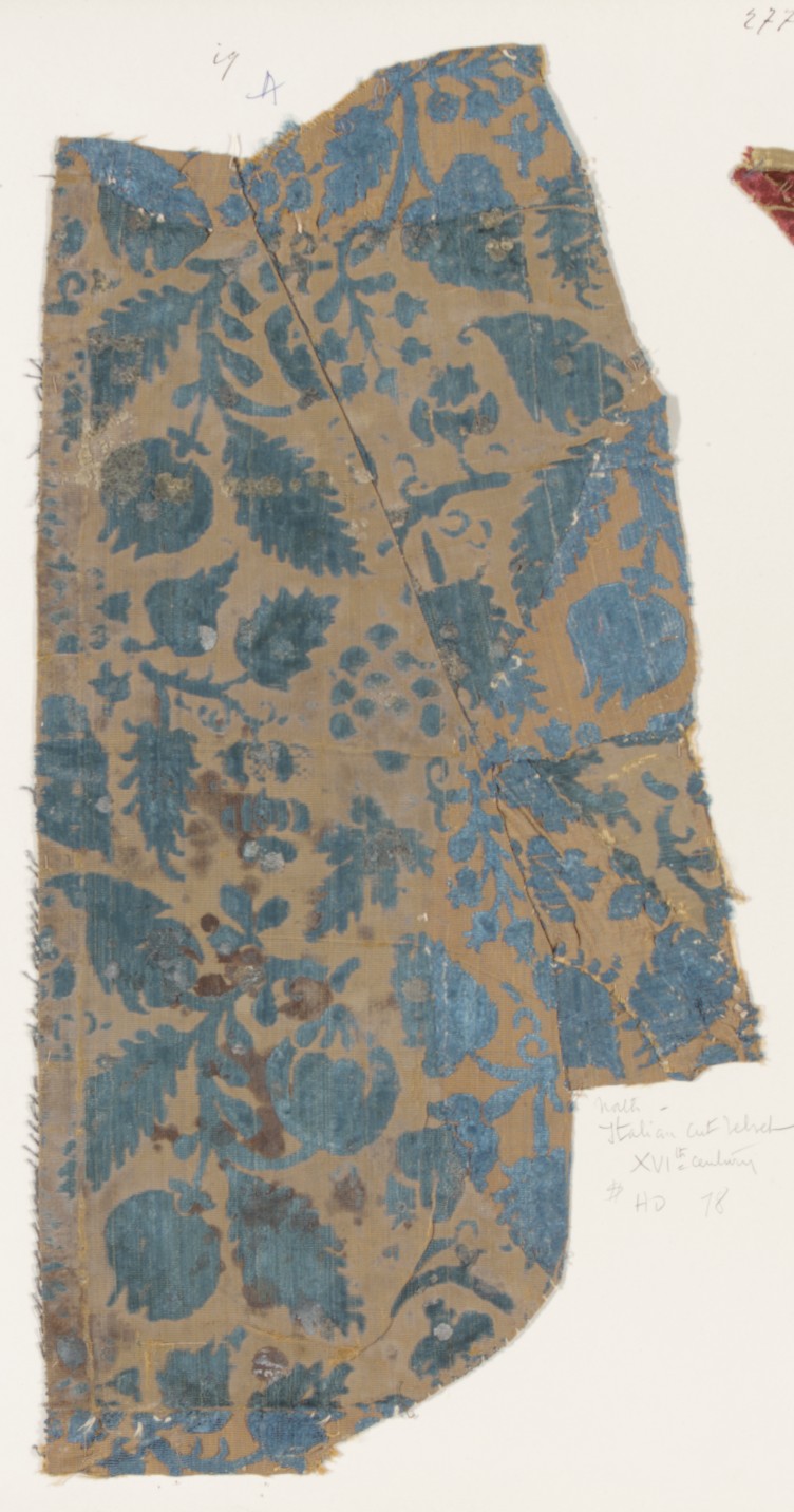 Sartorial Specimen