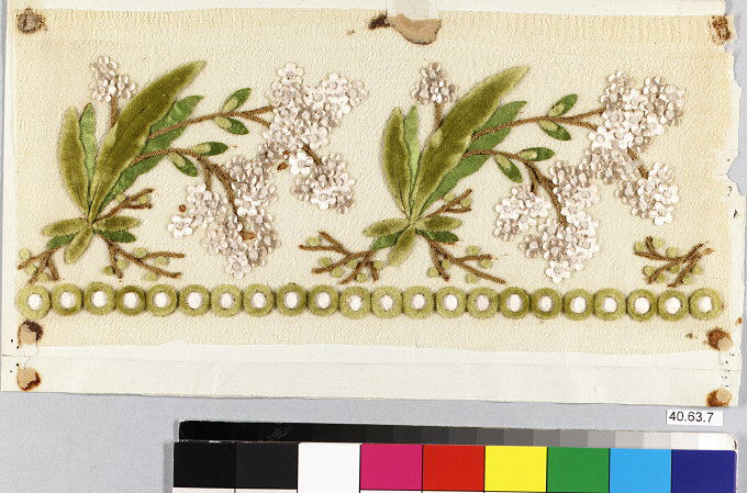 Sartorial Specimen