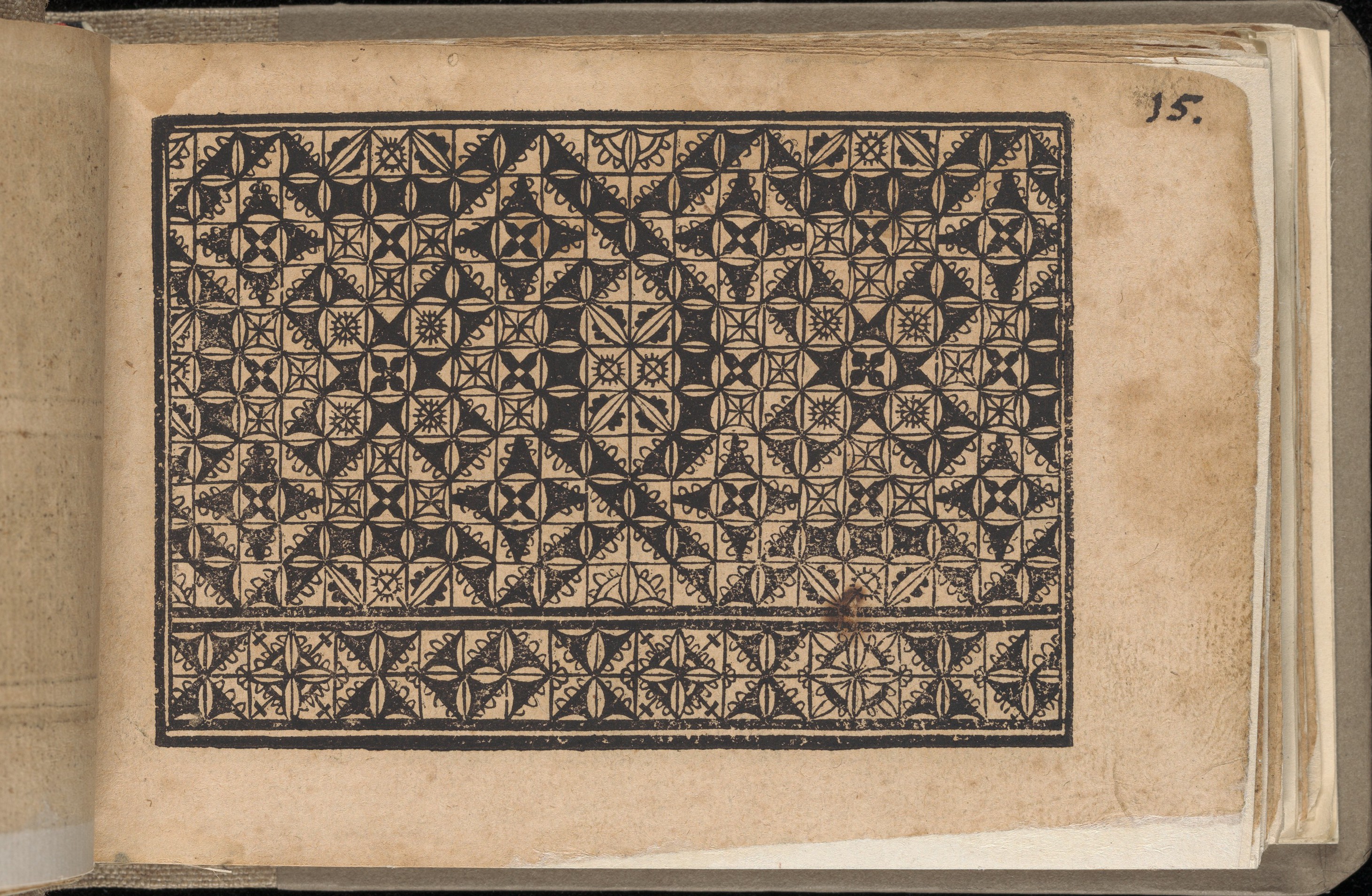 Sartorial Specimen