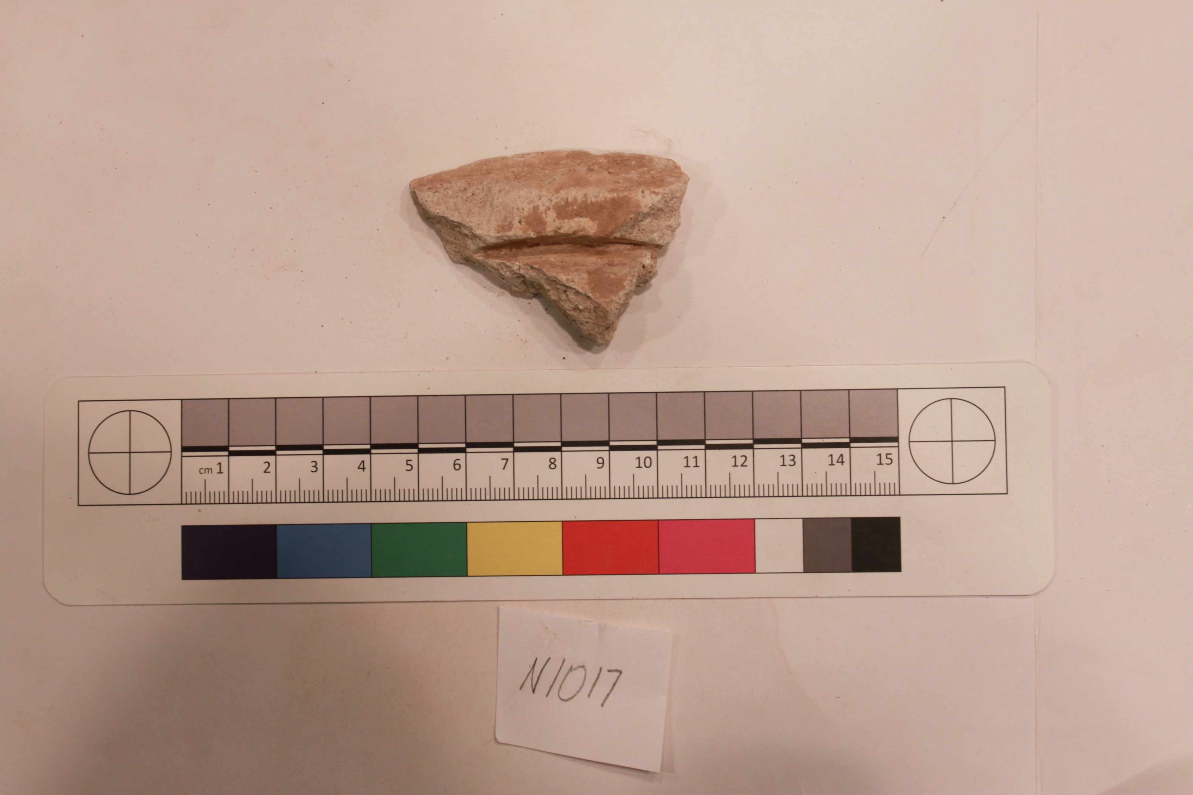 Sartorial Specimen